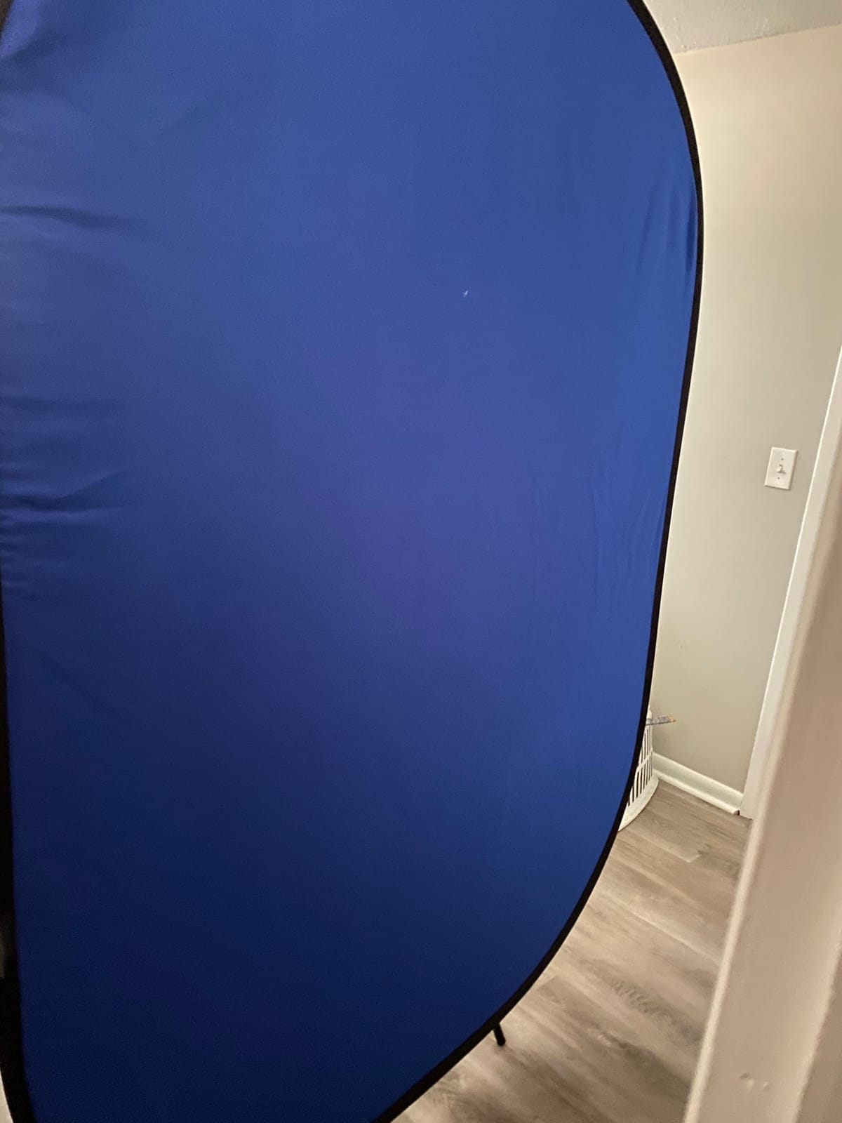 Neewer 5x7ft/1.5x2m Chromakey Foldable Backdrop with Stand 8.5ft/2.6m, 2-in-1 Reversible Green Blue Green Background Panel for Photography Studio, Live Streaming, Video Calls, Games customer photo 1