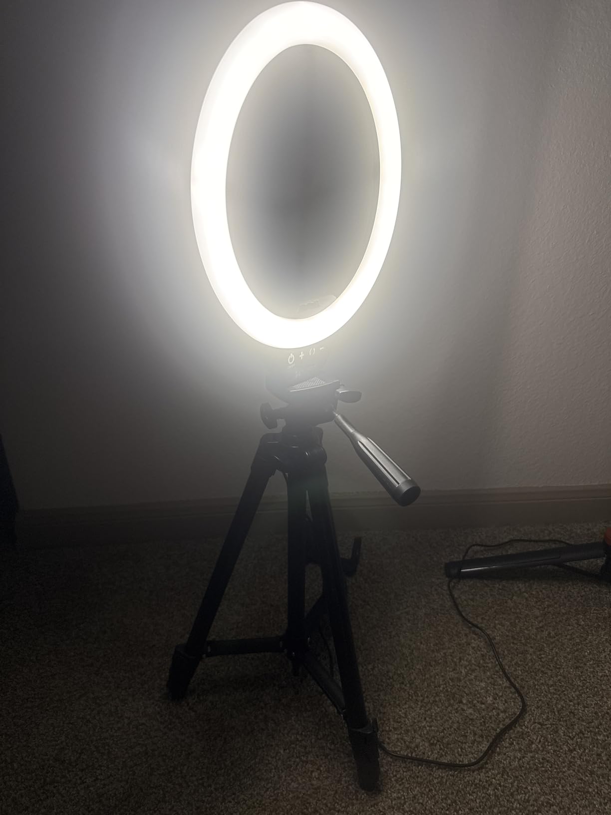 SENSYNE Ring Light with Stand, 50