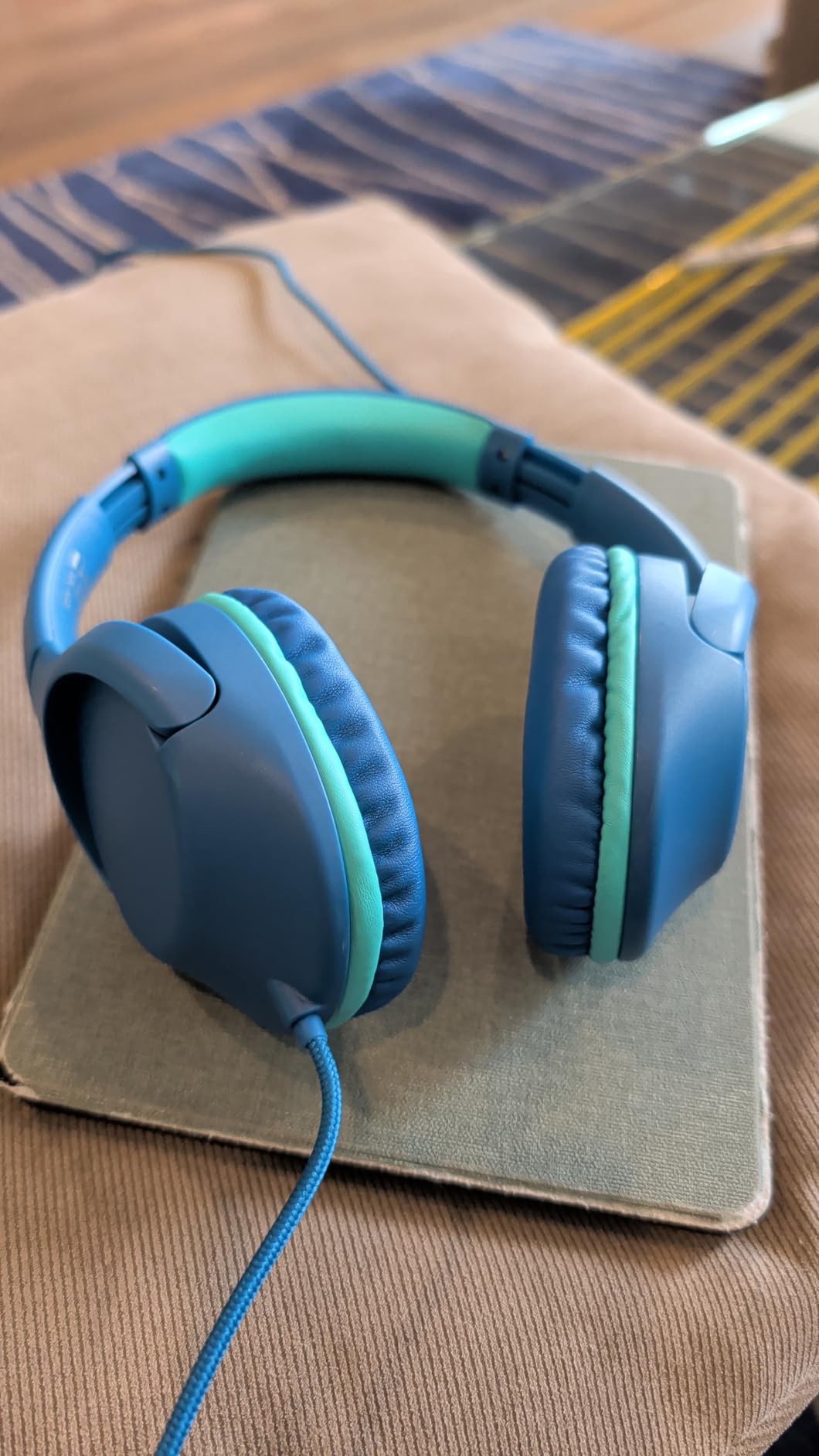 POWMEE P20 Kids Headphones for School, Kids/Teens/Boys/Girls with Safe 94dB Volume Limited, 3.5mm Jack Wired Cord Over-Ear for Fire Tablets/Travel/PC/Phones(Blue) customer photo 2