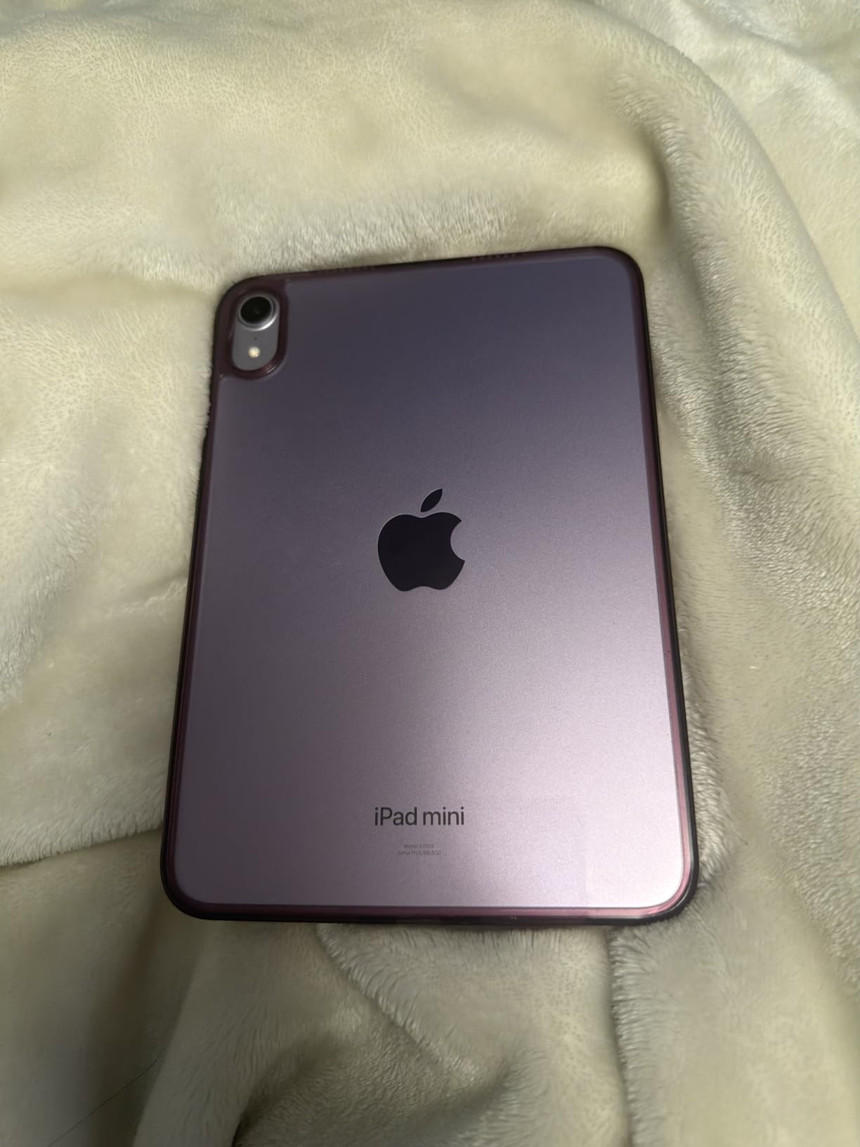 Apple iPad mini (A17 Pro): Apple Intelligence, 8.3-inch Liquid Retina Display, 128GB, Wi-Fi 6E, 12MP Front/12MP Back Camera, Touch ID, All-Day Battery Life - Space Gray customer photo 2