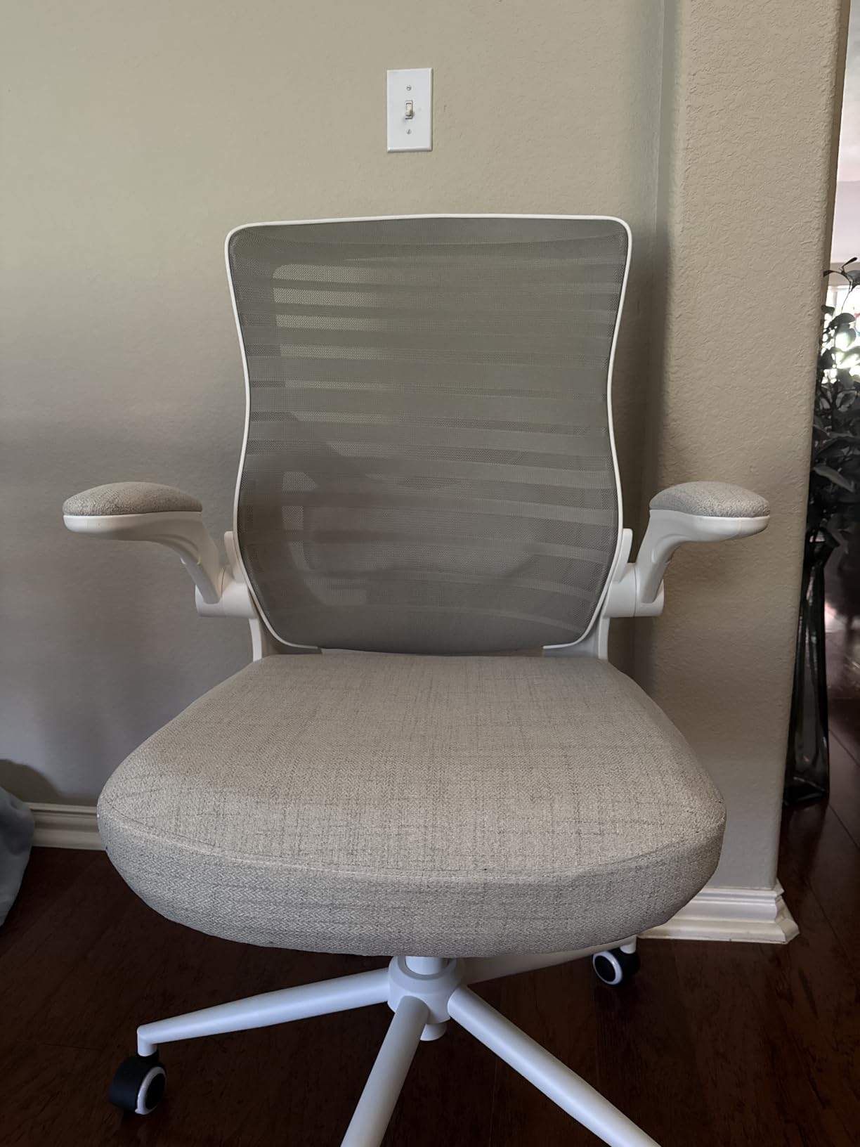 Office Desk Chair for Long Hours & Lower Back Pain Relief - 4
