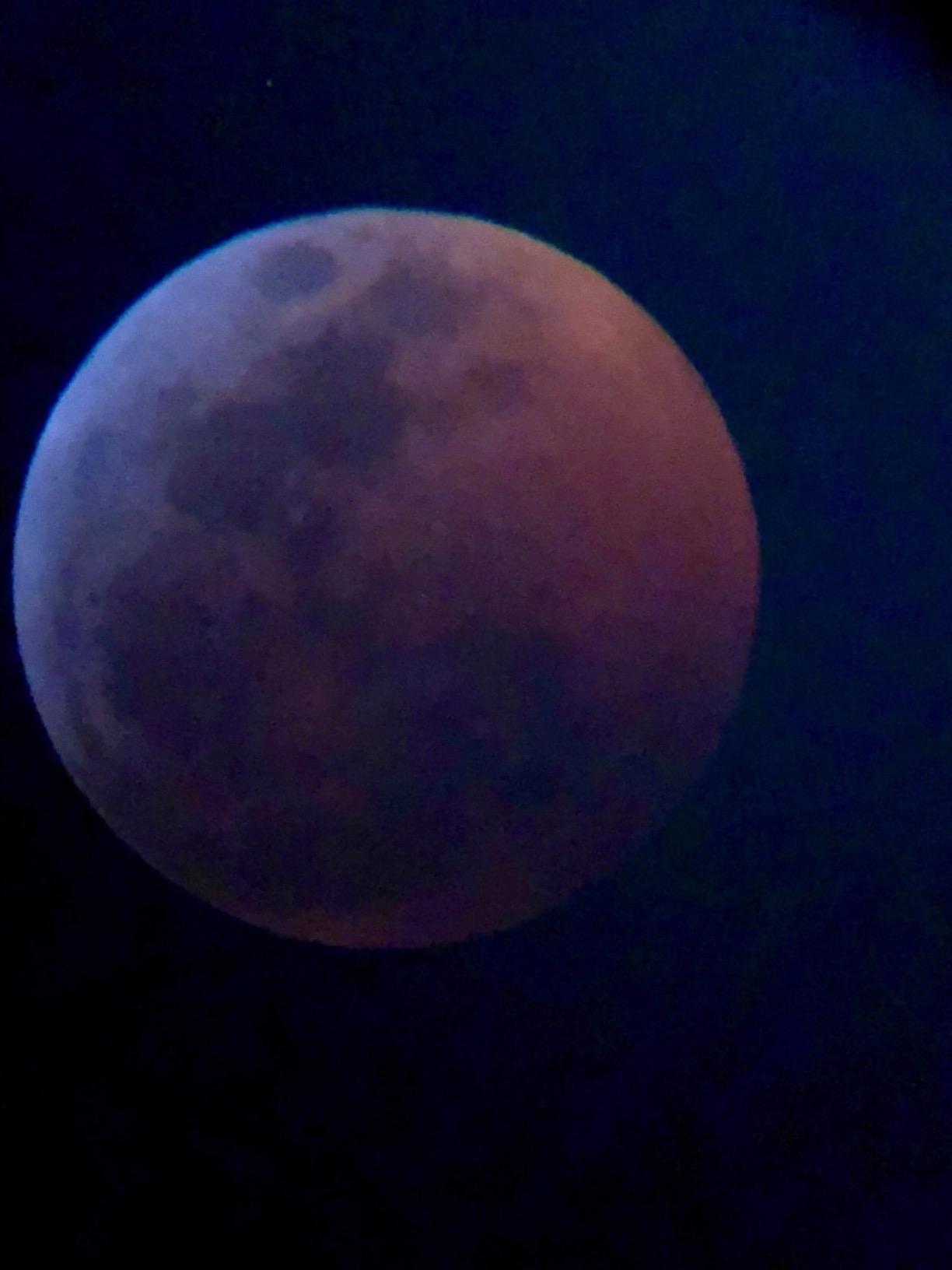 Celestron Universal 1.25