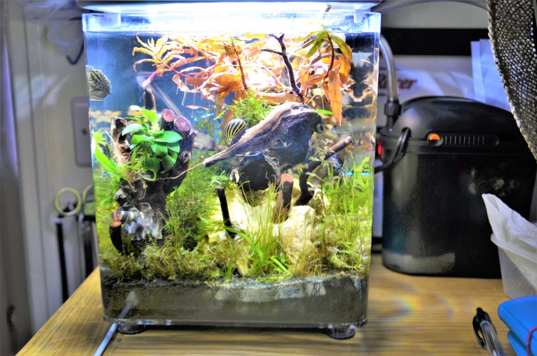 Zoo Med Turtle Clean 15 External Canister Filter customer photo 2