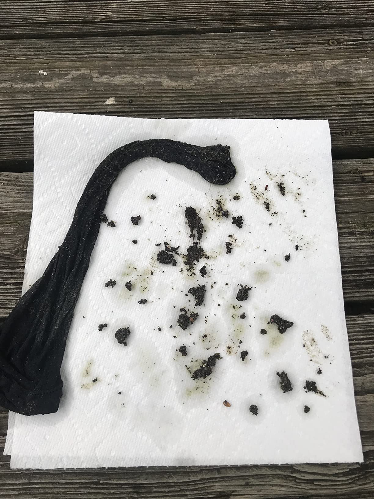 Poolmaster 28300 Big Sucker Manual Swimming Pool Leaf Vacuum Head, Blue customer photo 1