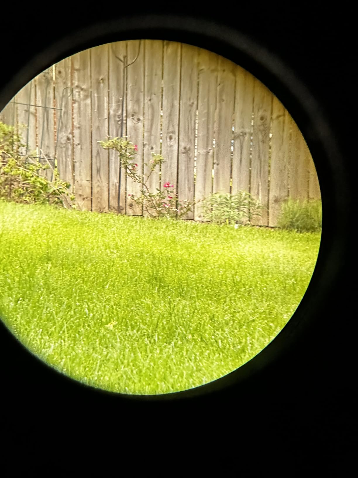 Vortex Solo Monocular 10x36 customer photo 1