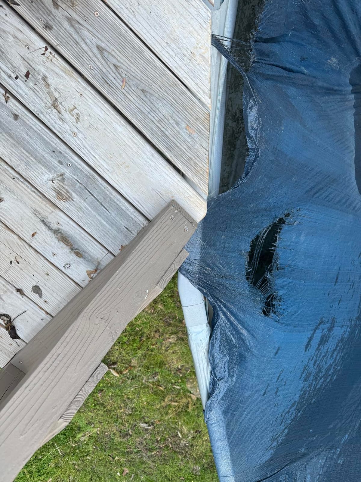 SWIMLINE Super Guard Above Ground Winter Pool Cover for 24 Ft Round Pools customer photo 2