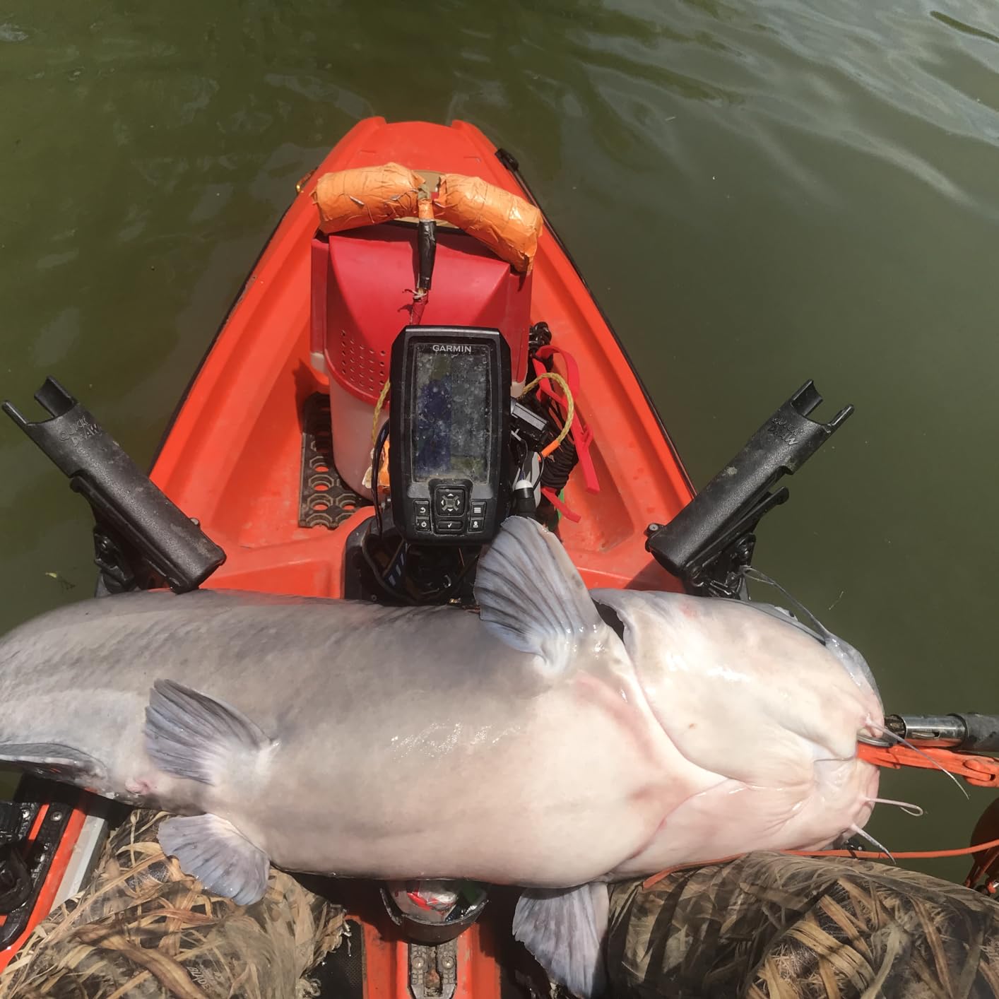 Eagle Claw Catclaw Casting Rod, 8' Length. 2Piece Rod, Medium/Heavy Power, Yellow customer photo 2
