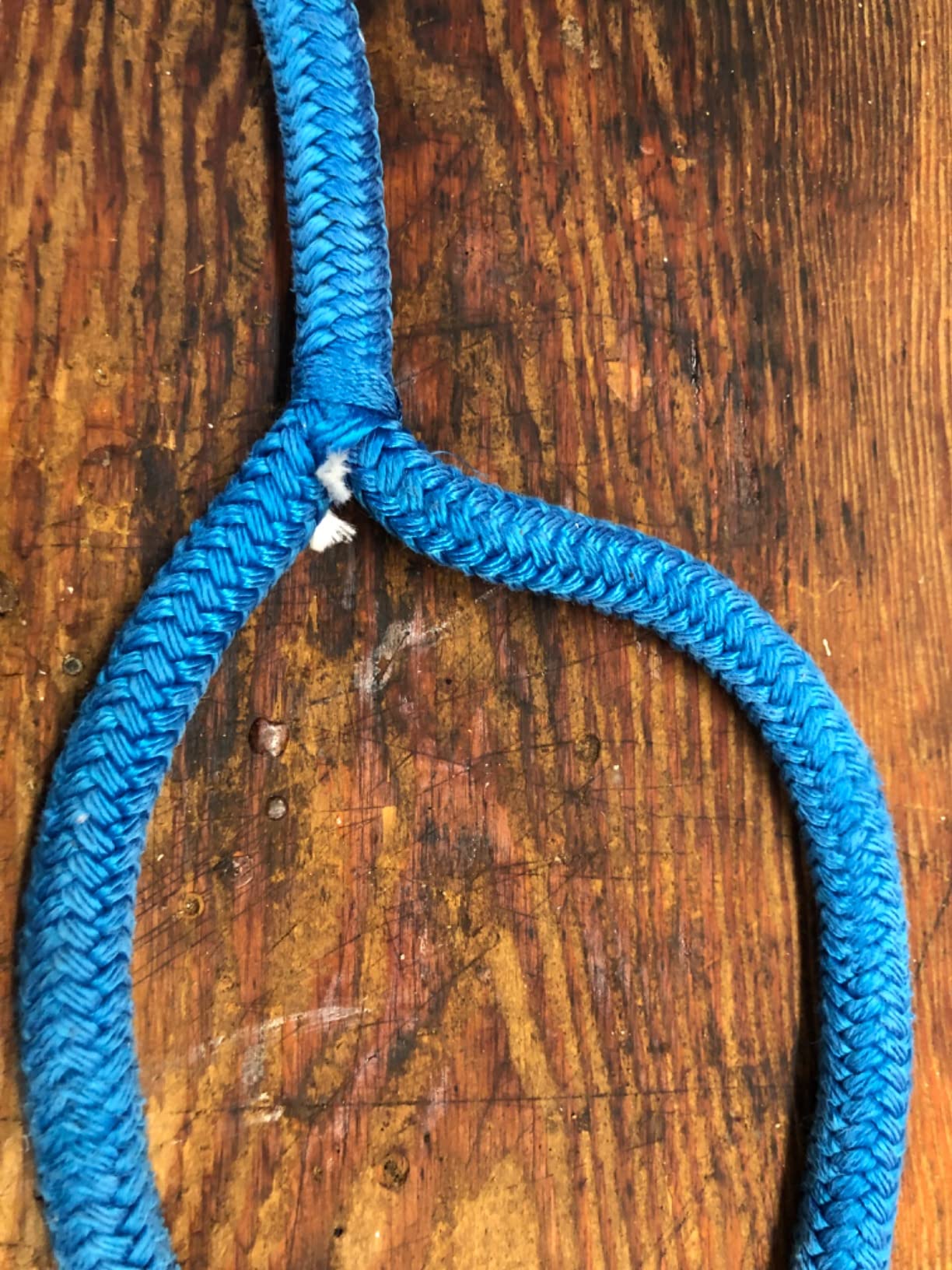 SeaSense Double Braid Nylon Dockline customer photo 1