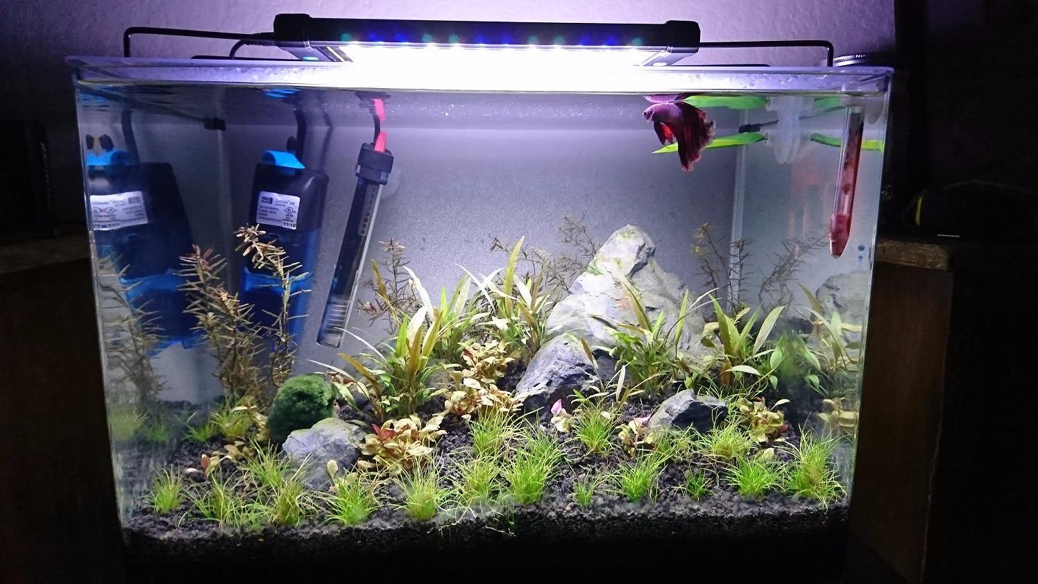 PENN-PLAX Water-World Radius Desktop Nano Aquarium Kit – Includes LED Light, Internal Filter, and Mat – Perfect for Shrimp and Small Fish – 10 Gallon Tank customer photo 1