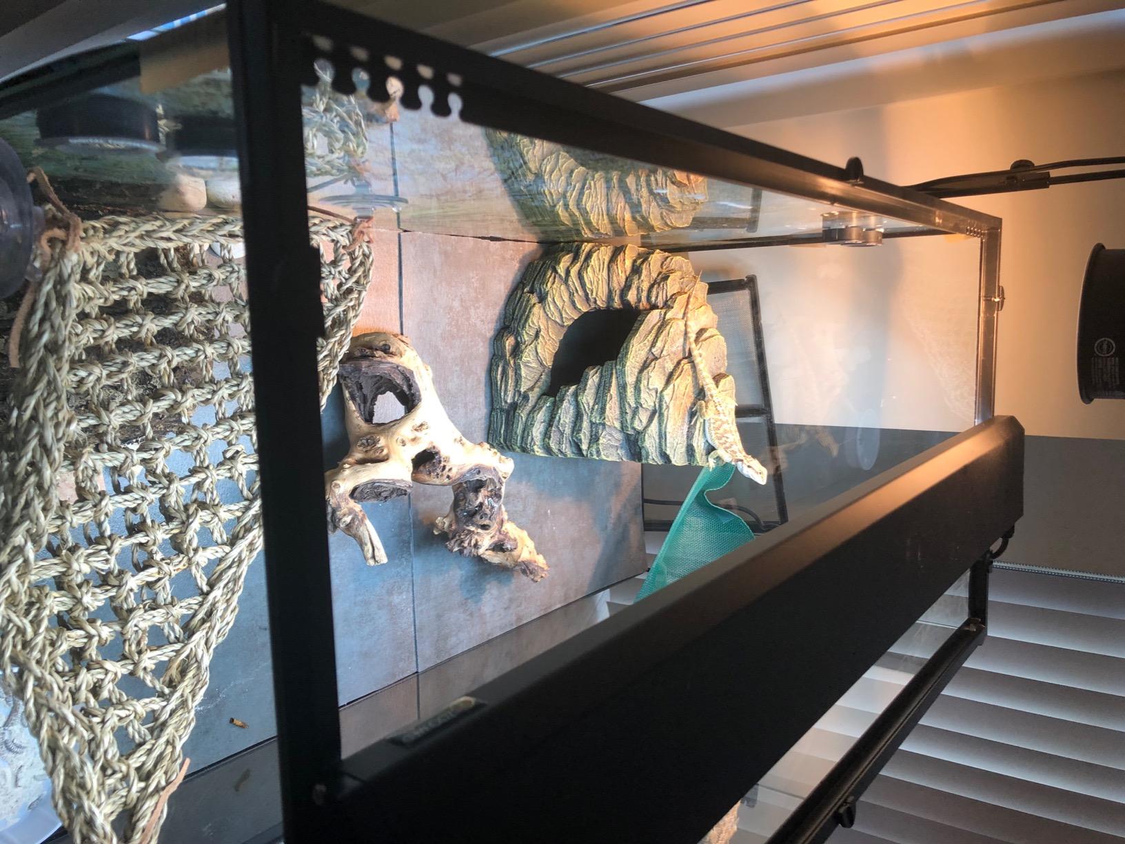 Zoo Med ReptiSun 10.0 HO T5 UVB Lamp, 34