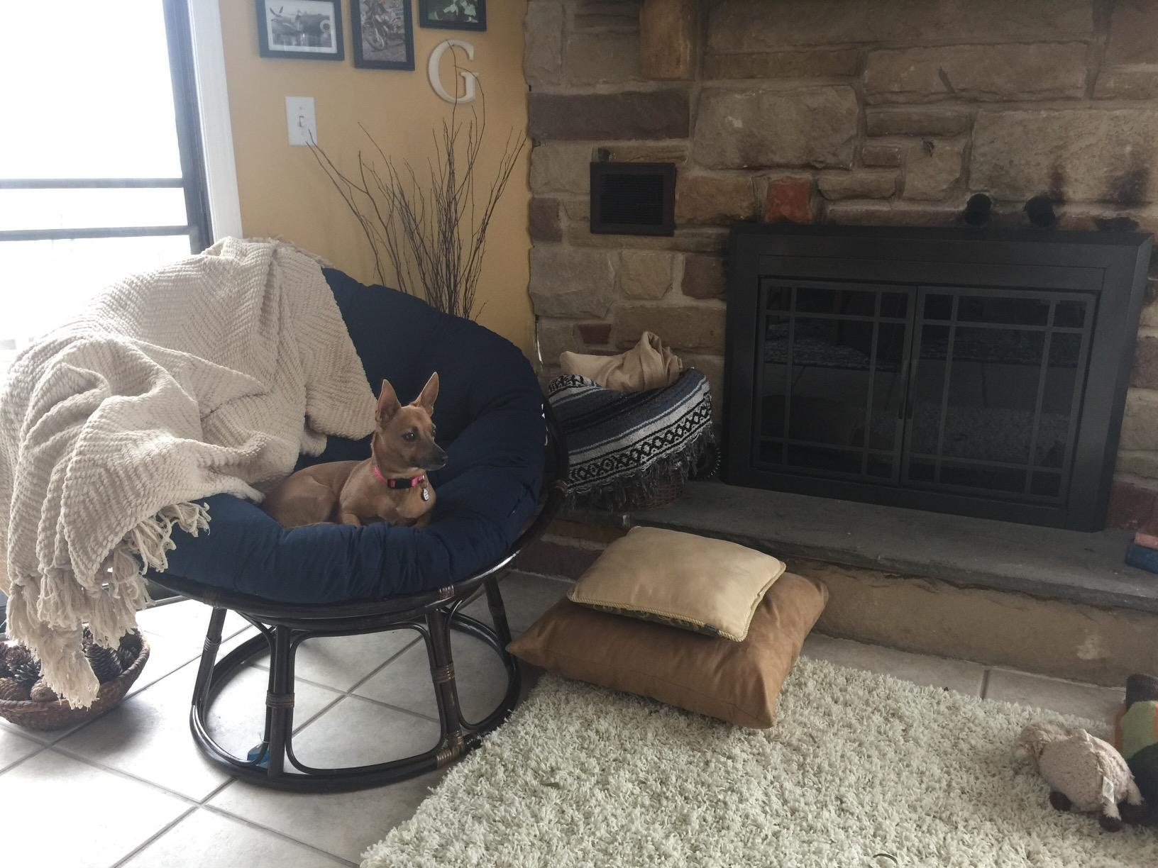 International Caravan Furniture Piece 42-Inch Rattan Papasan Chair with Solid Twill Cushion customer photo 1