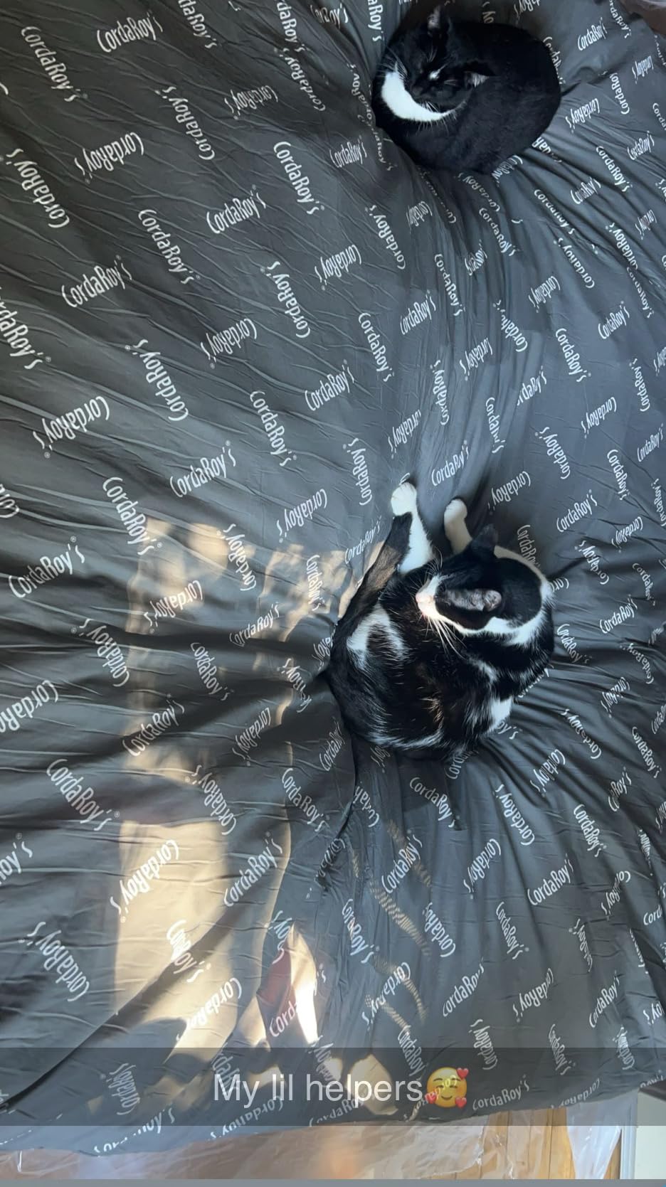 CordaRoy's Chenille Bean Bag Chair, Convertible Chair Folds from Bean Bag to Lounger, As Seen on Shark Tank, Moss - Queen Size customer photo 1