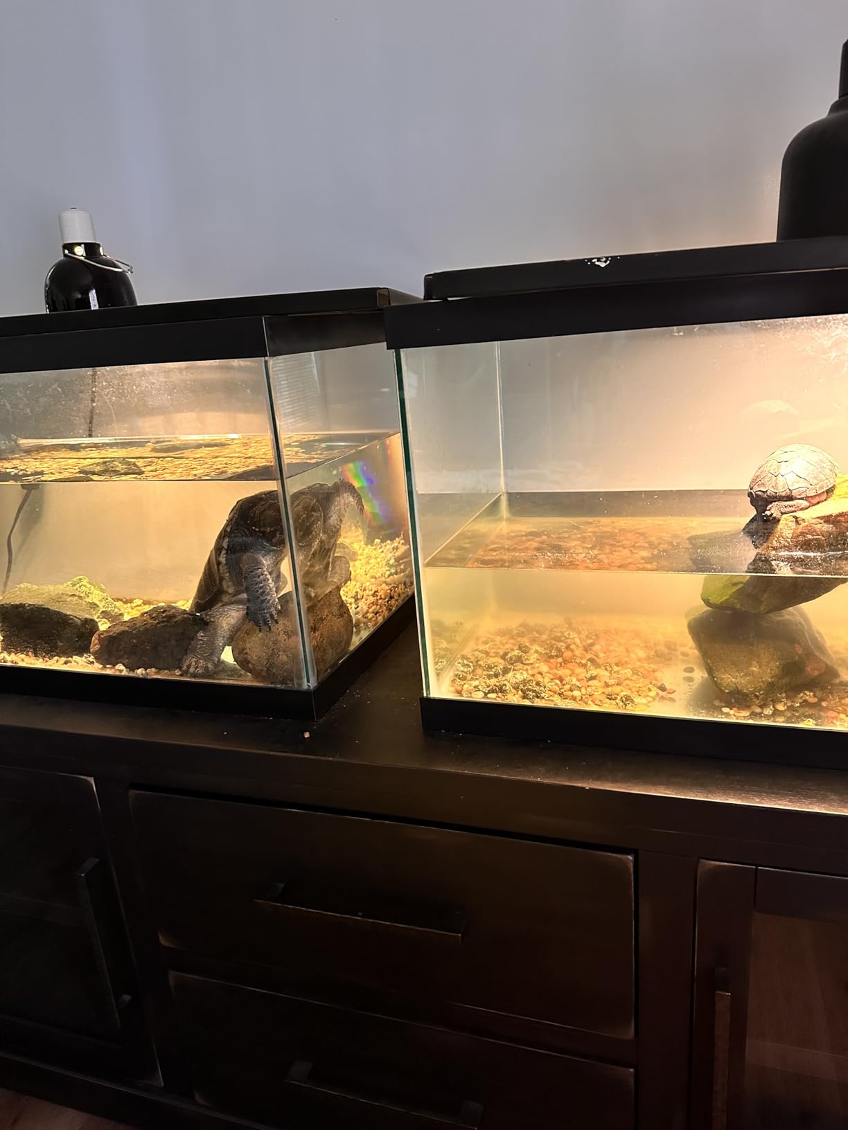 Marineland Magniflow 180 Canister Filter customer photo 1
