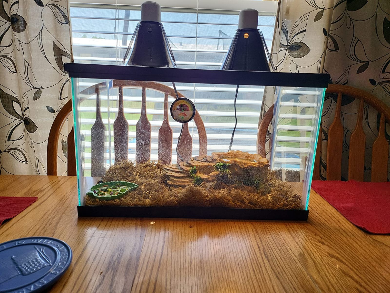 Zilla 10 Gallon Reptile Starter Habitat Kit, Leopard Gecko Tank customer photo 1