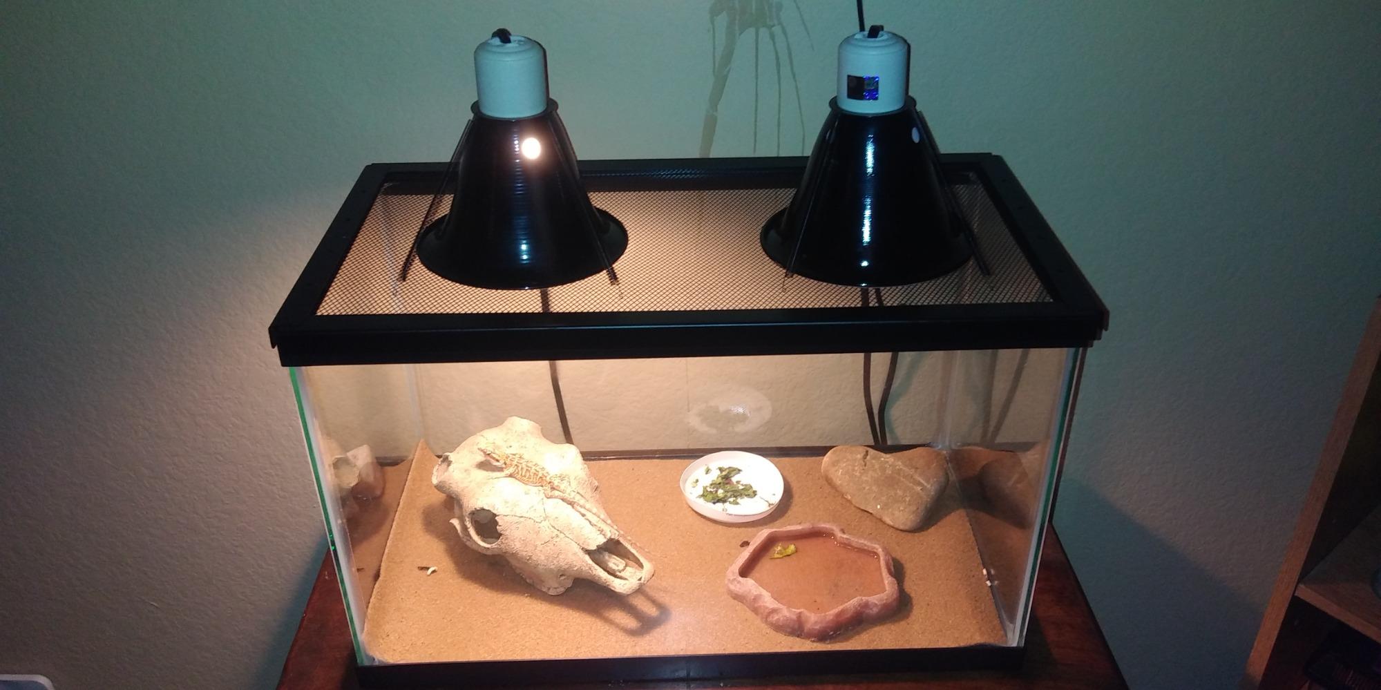 Zilla 10 Gallon Reptile Starter Habitat Kit, Leopard Gecko Tank customer photo 2