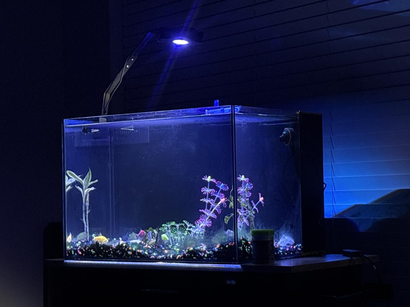 LANDEN EzFlux 40 Rimless 16 Gallon Rear Filtration Tank, Pump Included customer photo 2