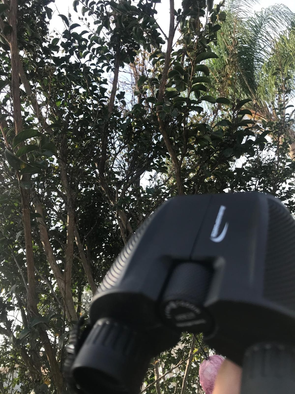 Aurosports 10x25 Compact Binoculars for Bird Watching, Cruise Ship, Travel customer photo 1