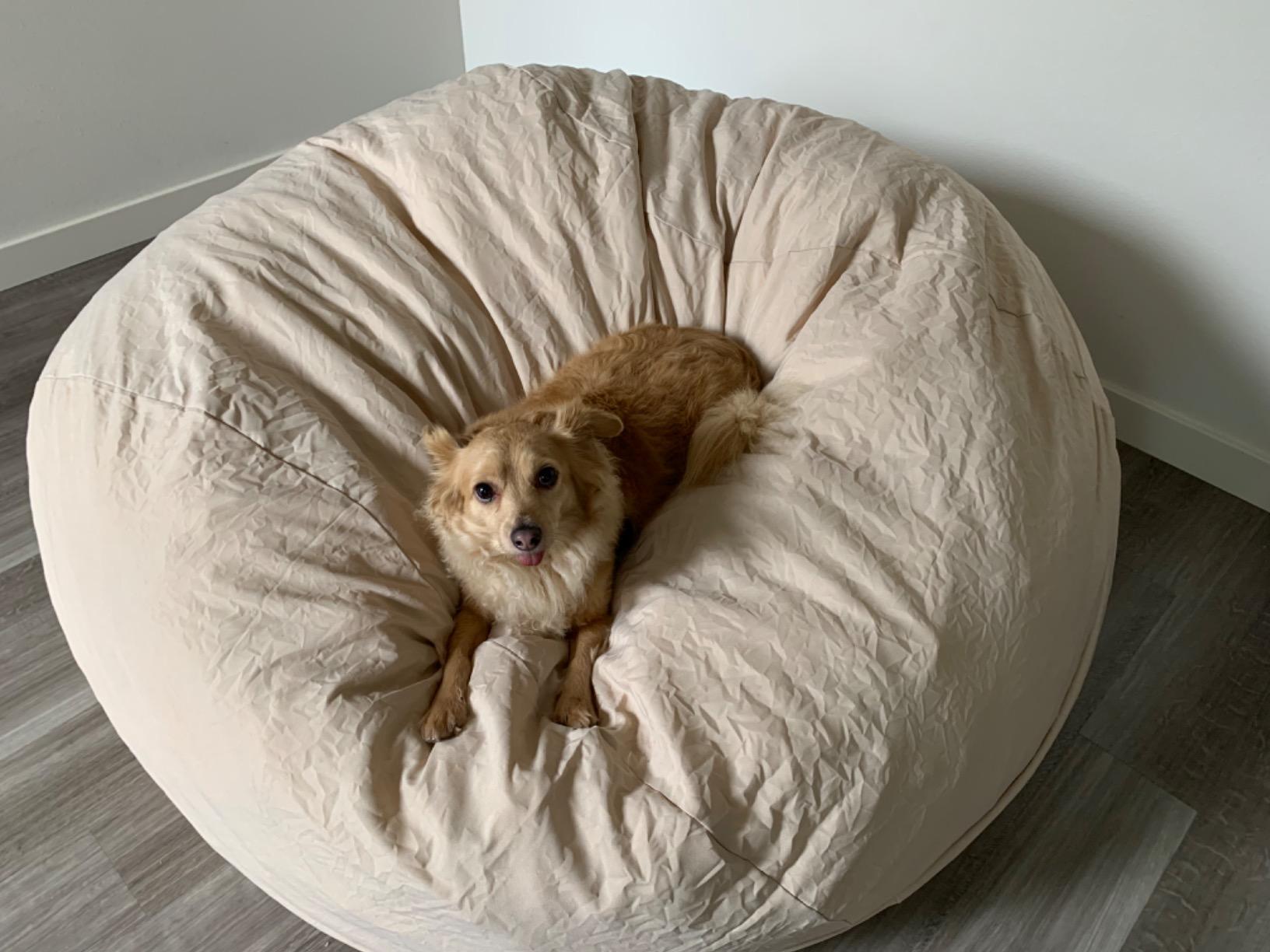 Lumaland Luxurious Giant 7ft Bean Bag Chair with Microsuede Cover - Ultra Soft, Foam Filling, Washable XXL Bean Bag Sofa for Kids, Teenagers, Adults - Sack Chair for Dorm, Family Room - Black customer photo 1