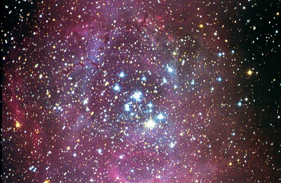 Sky-Watcher EQ6-R – Fully Computerized GoTo German Equatorial Telescope Mount – Belt-driven, Motorized, Computerized Hand Controller with 42,900+ Celestial Object Database customer photo 2