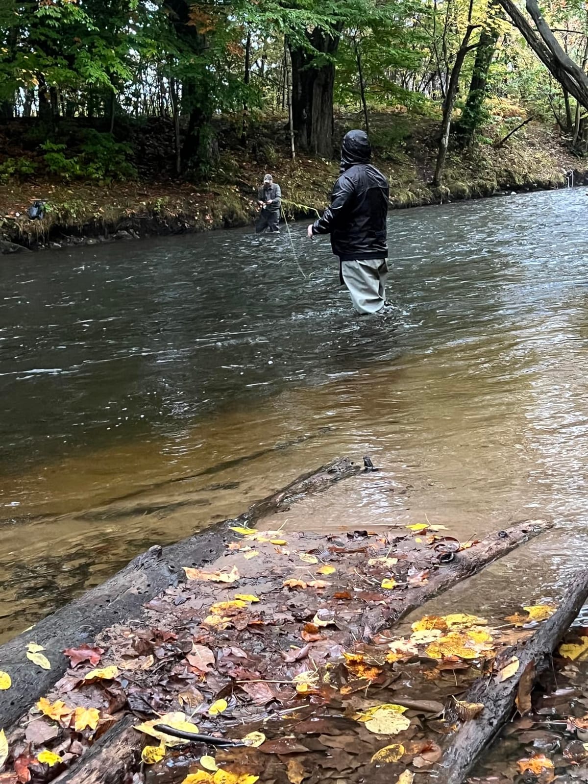FROGG TOGGS Canyon II Waterproof Chest Fishing Waders, Stockingfoot customer photo 2