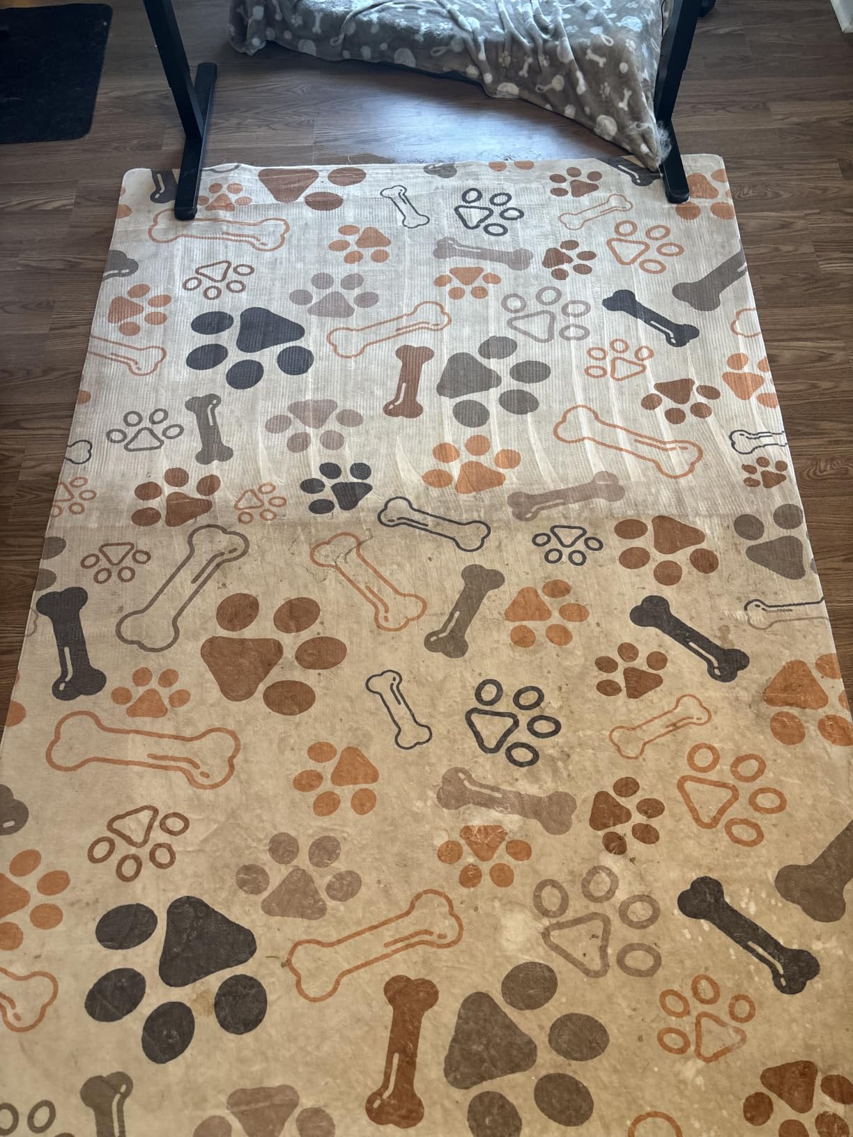 Hoover PowerDash Pet Compact Carpet Cleaner Machine, Lightweight Design customer photo 1