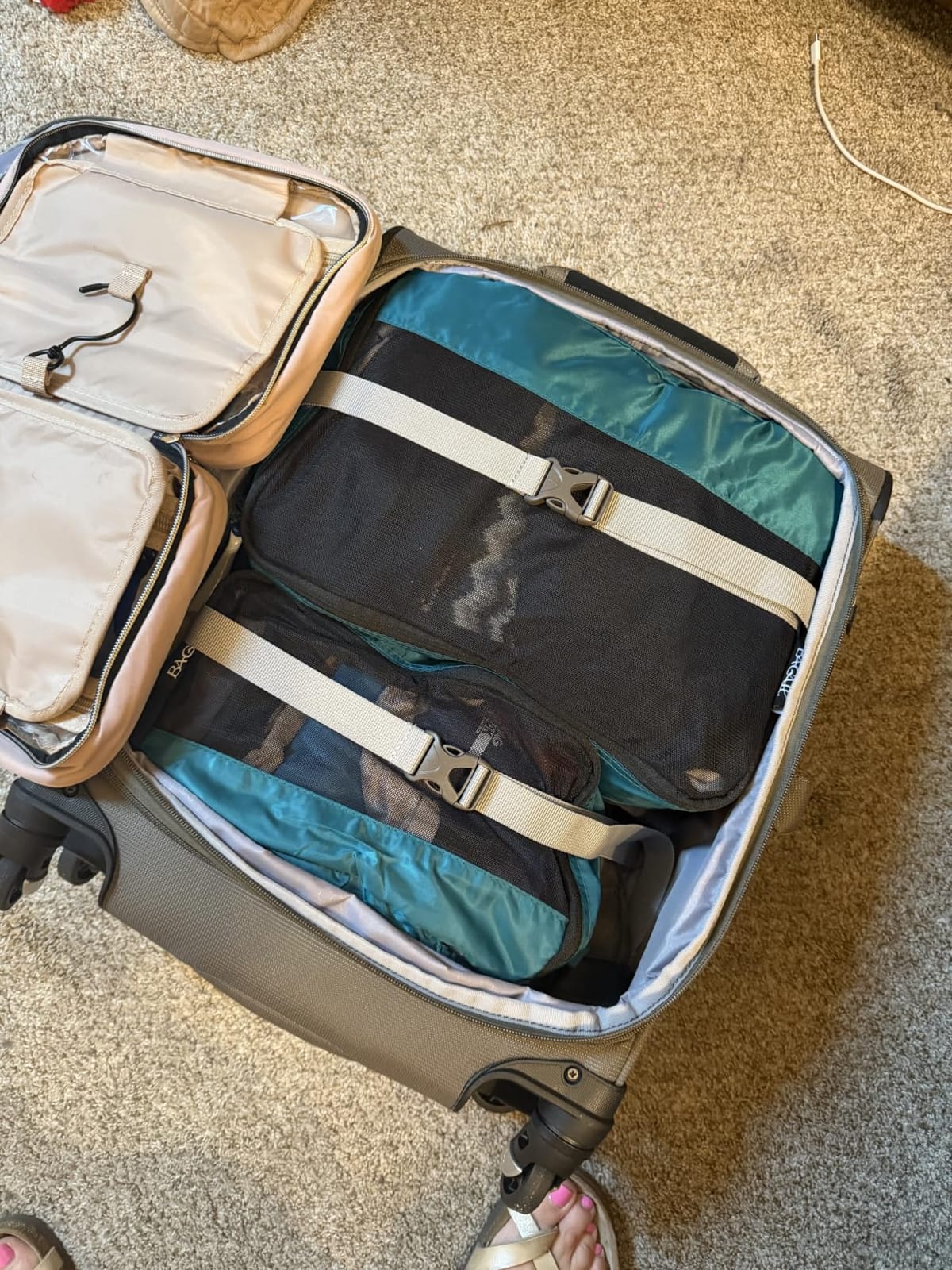 Travelpro Maxlite 5 Softside Checked Luggage Spinner, Black, 25-Inch customer photo 2