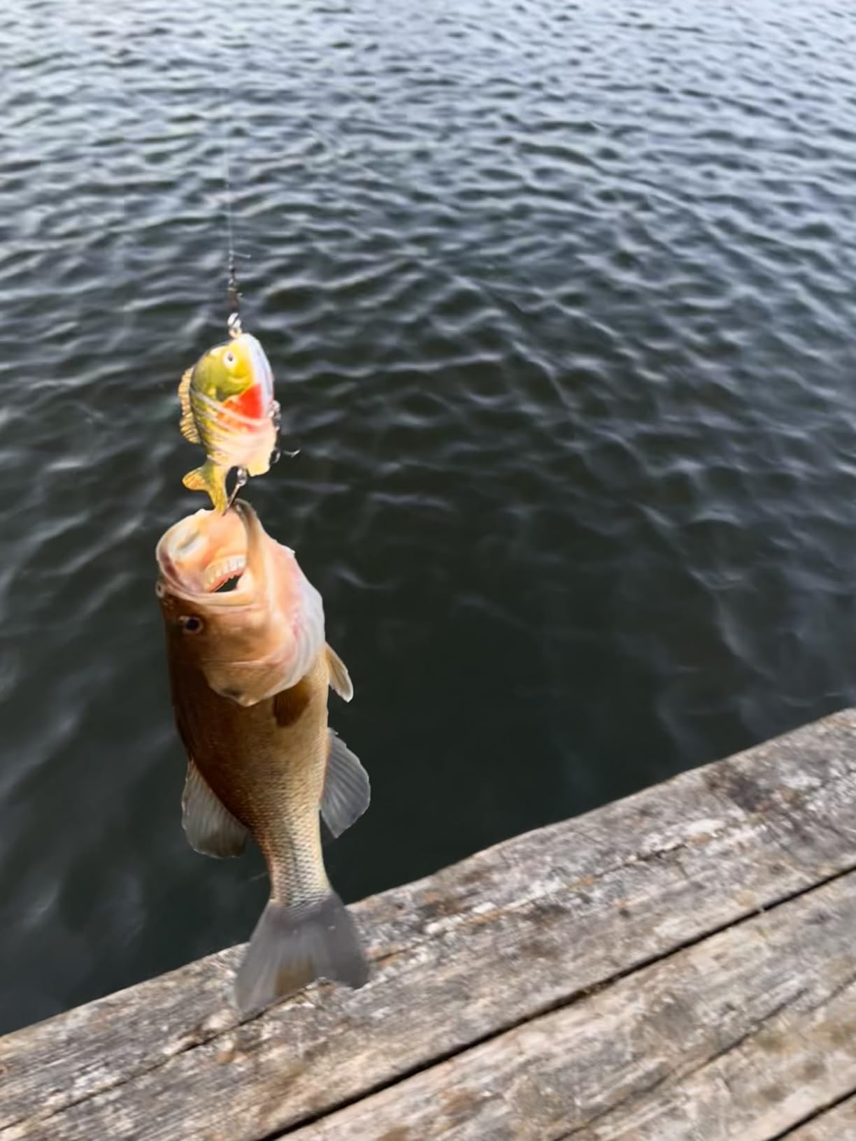 BASSDASH SwimPanfish Multi Jointed Panfish Bluegill Swimbaits Hard Topwater Bass Lures Fishing Lure Crank Saltwater 3.5in/0.85oz customer photo 1