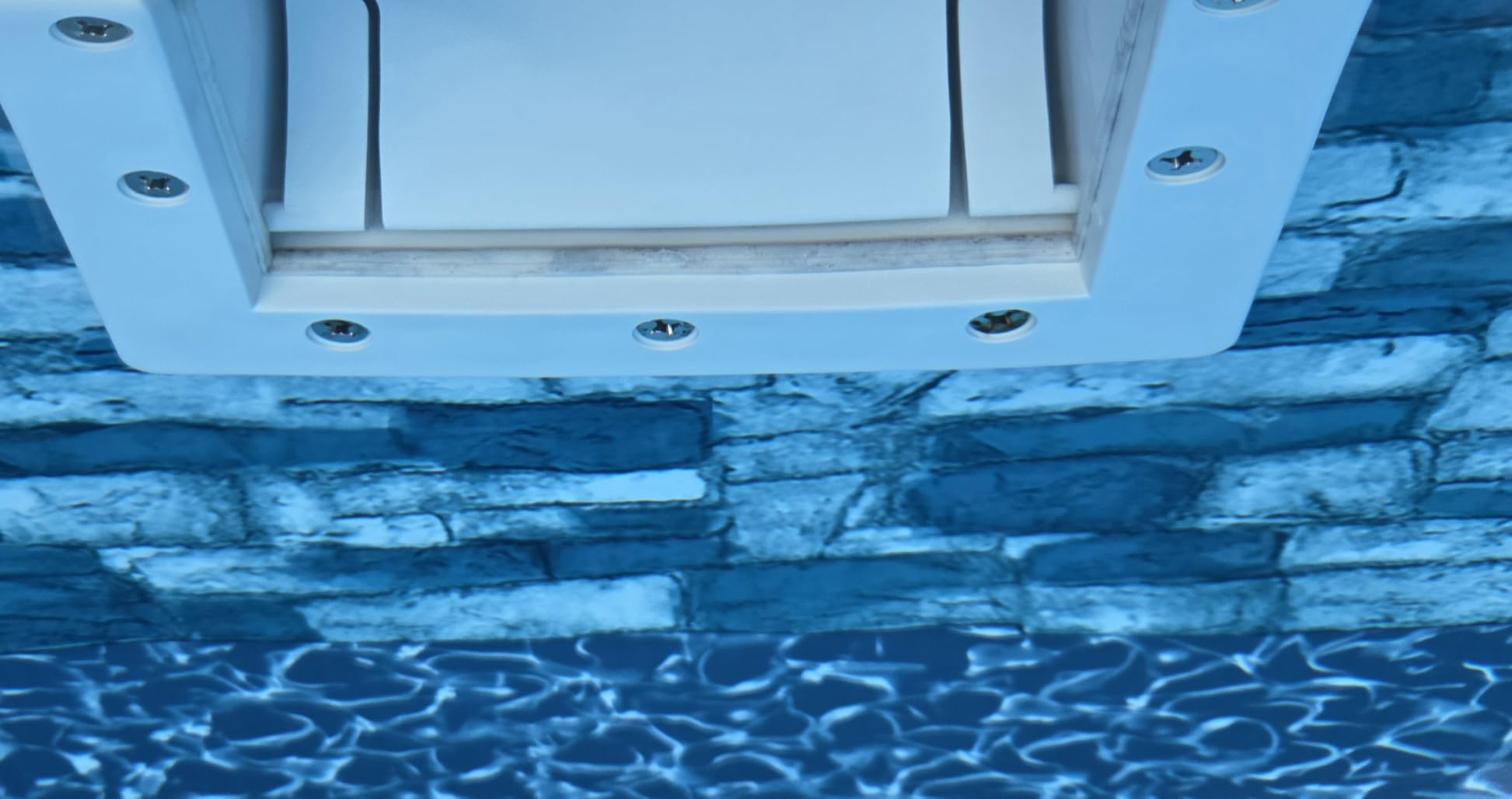 Hayward Wanda the Whale Automatic Pool Cleaner for Above Ground Pools customer photo 1