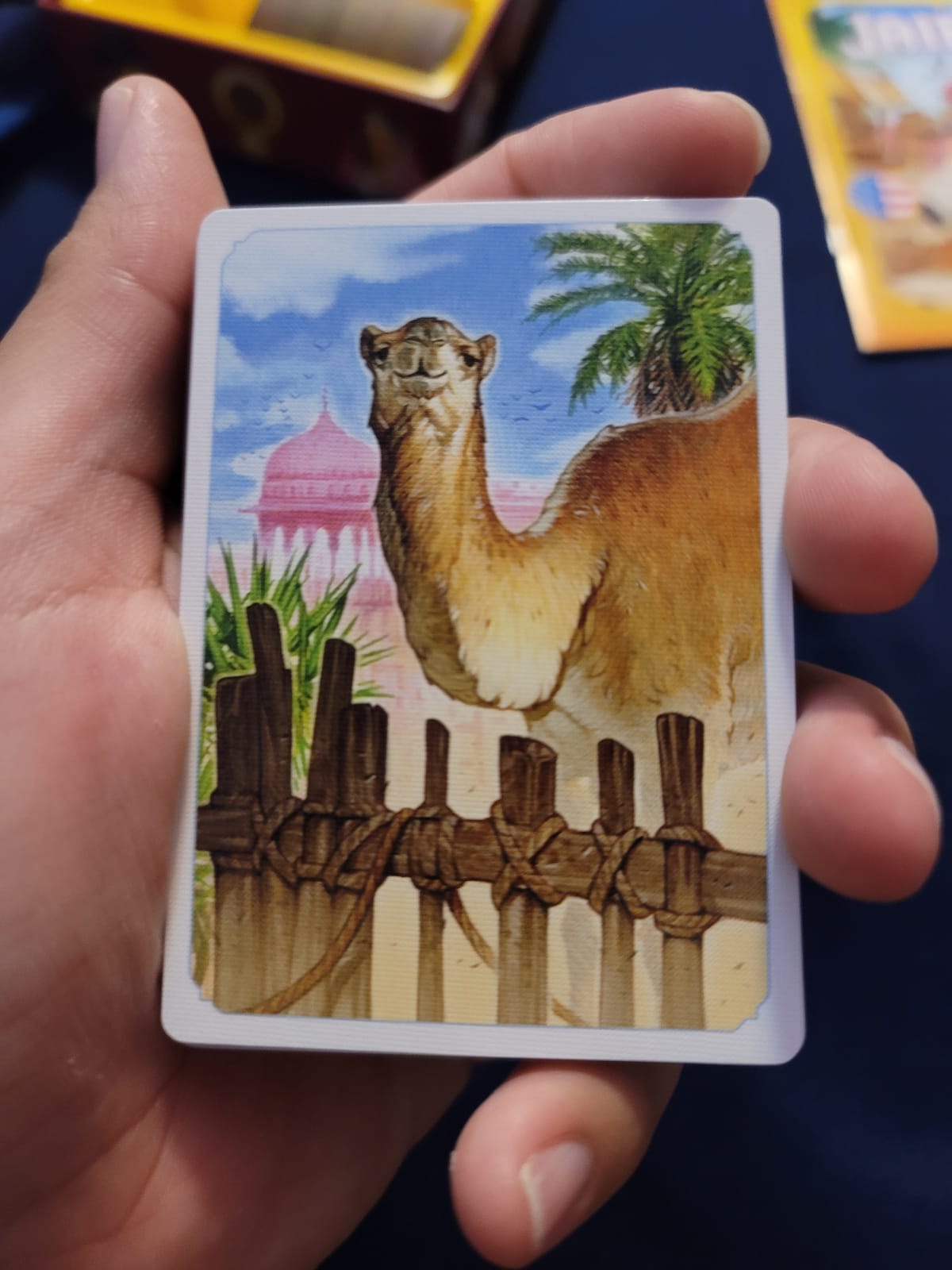 Asmodee Jaipur 2-Player Trading Card Strategy Game, Ages 10+ customer photo 1