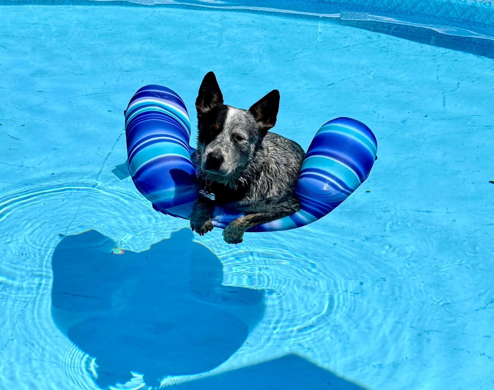 Big Joe Noodle Sling No Inflation Needed Pool Seat with Armrests, Blurred Blue Double Sided Mesh, Quick Draining Fabric, 3 feet customer photo 2