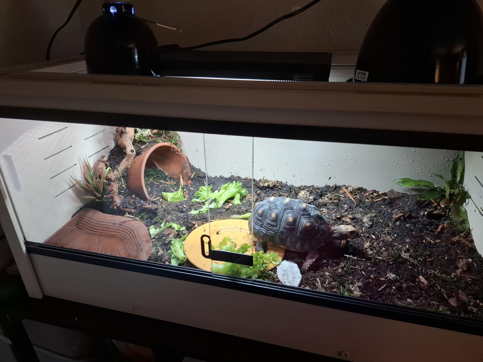 New Age Pet® ECOFLEX® 48