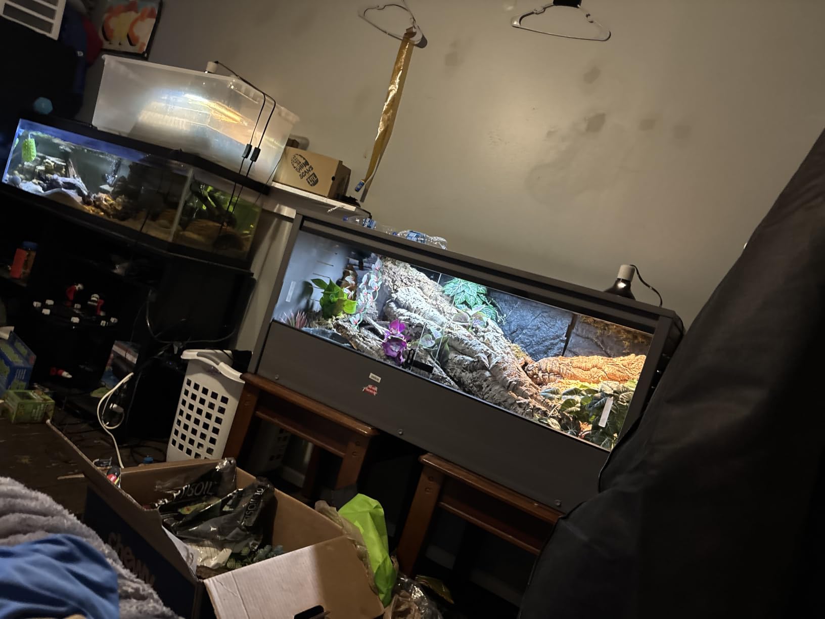 New Age Pet® ECOFLEX® 48