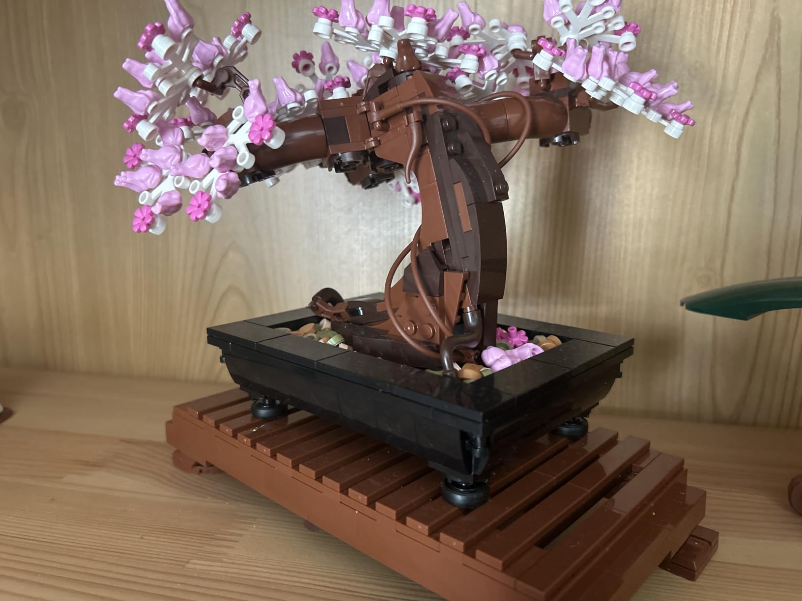 LEGO Botanicals Bonsai Tree Building Set - Artificial Bonsai Tree Plants for Home Decor, Adults Ages 18+ - Faux, Fake Plants for Table, Desk, Office - Birthday Gift for Men & Women - 10281 customer photo 1