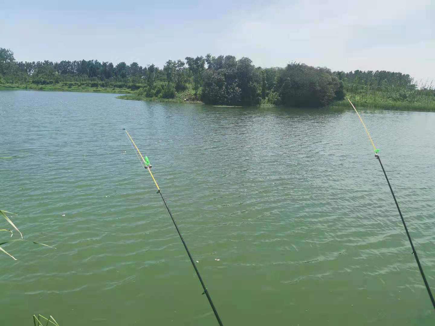 Richcat Fishing Rod and Reel Combo，Medium Heavy Poles and Reels Telescopic Rod Kits for Adults， 22lb Line Pre-spooled with Spining Reel for Travel Saltwater Freshwater Catfish Bass Fishing customer photo 2