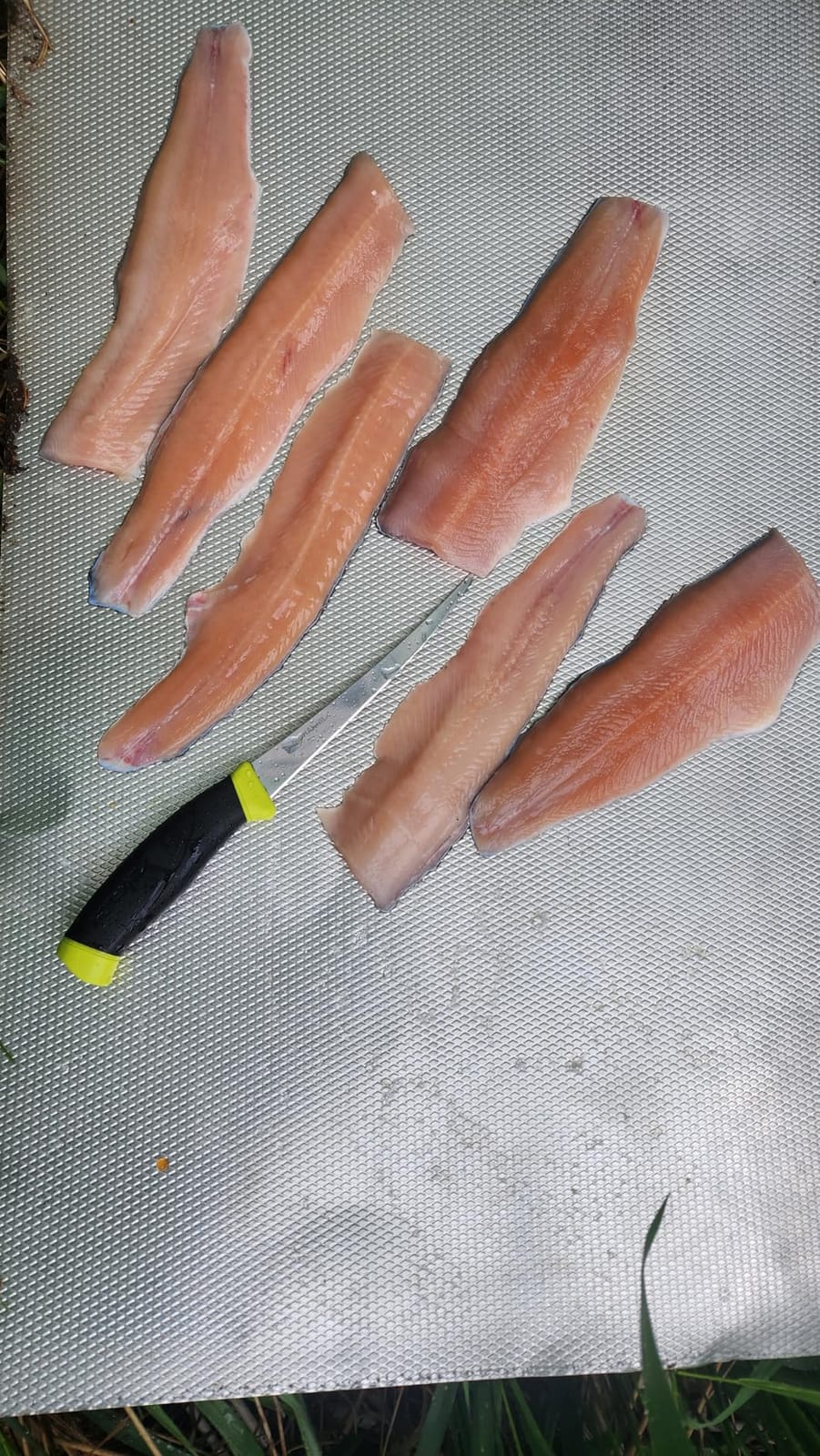 Morakniv Fishing Comfort Fillet Knife with Sandvik Stainless Steel Blade customer photo 2