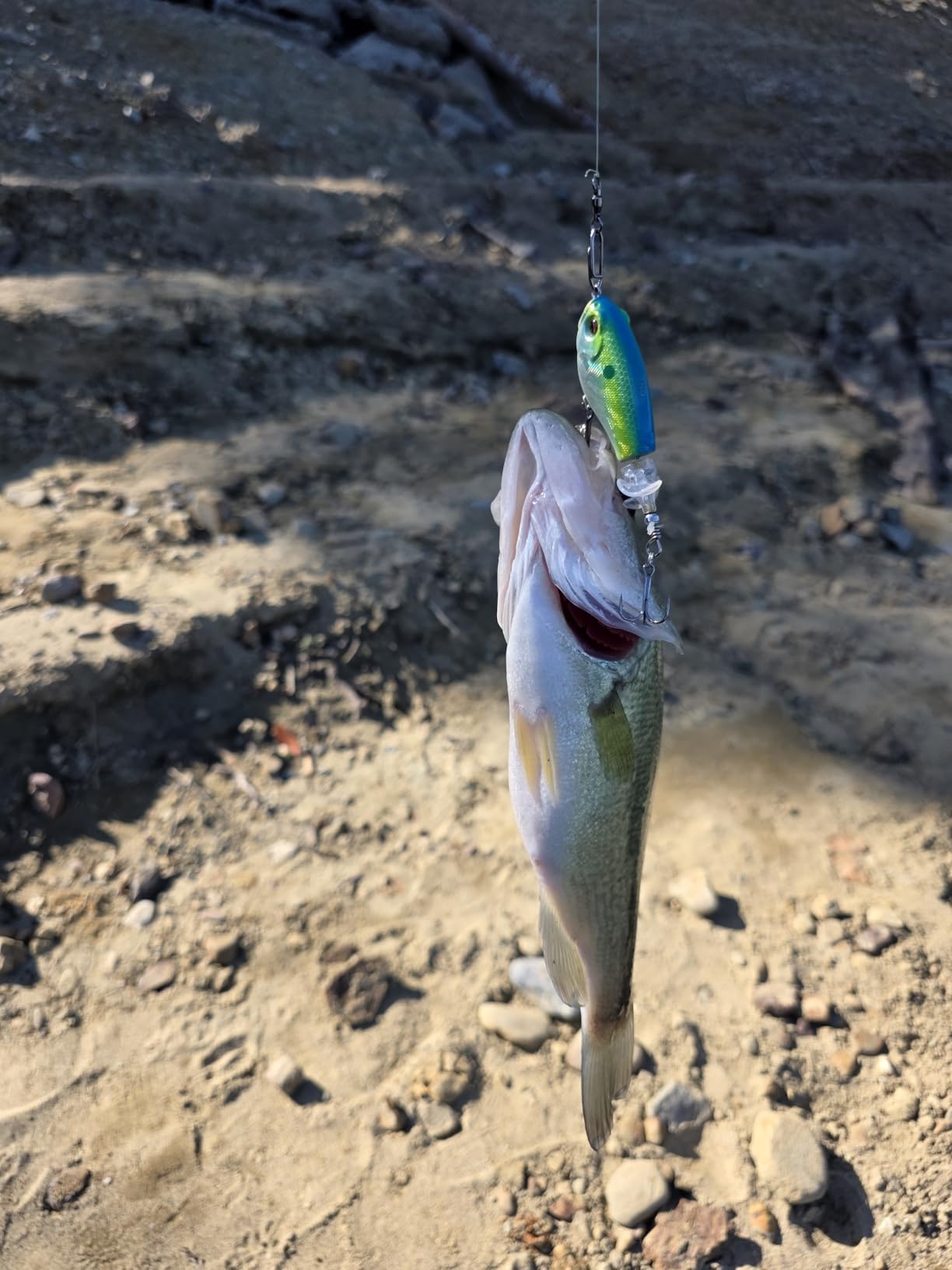 TRUSCEND Popobait Easy Catch Fishing Lures with BKK Hooks, Instant Startup, Longer Cast, Balanced Spray/Sound/Swim, Plopper Topwater Lures for Bass, Trout, Pike, Walleye, Freshwater Saltwater Fishing customer photo 1