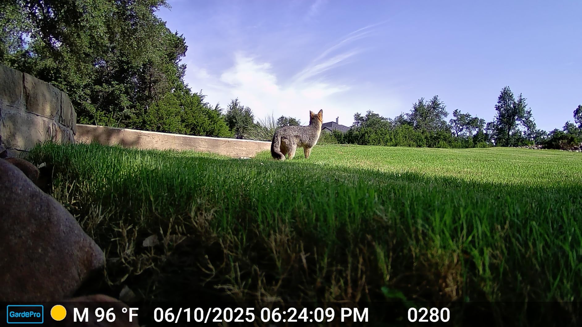 GardePro E6 WiFi Trail Camera, Stable WiFi with External Antenna customer photo 2