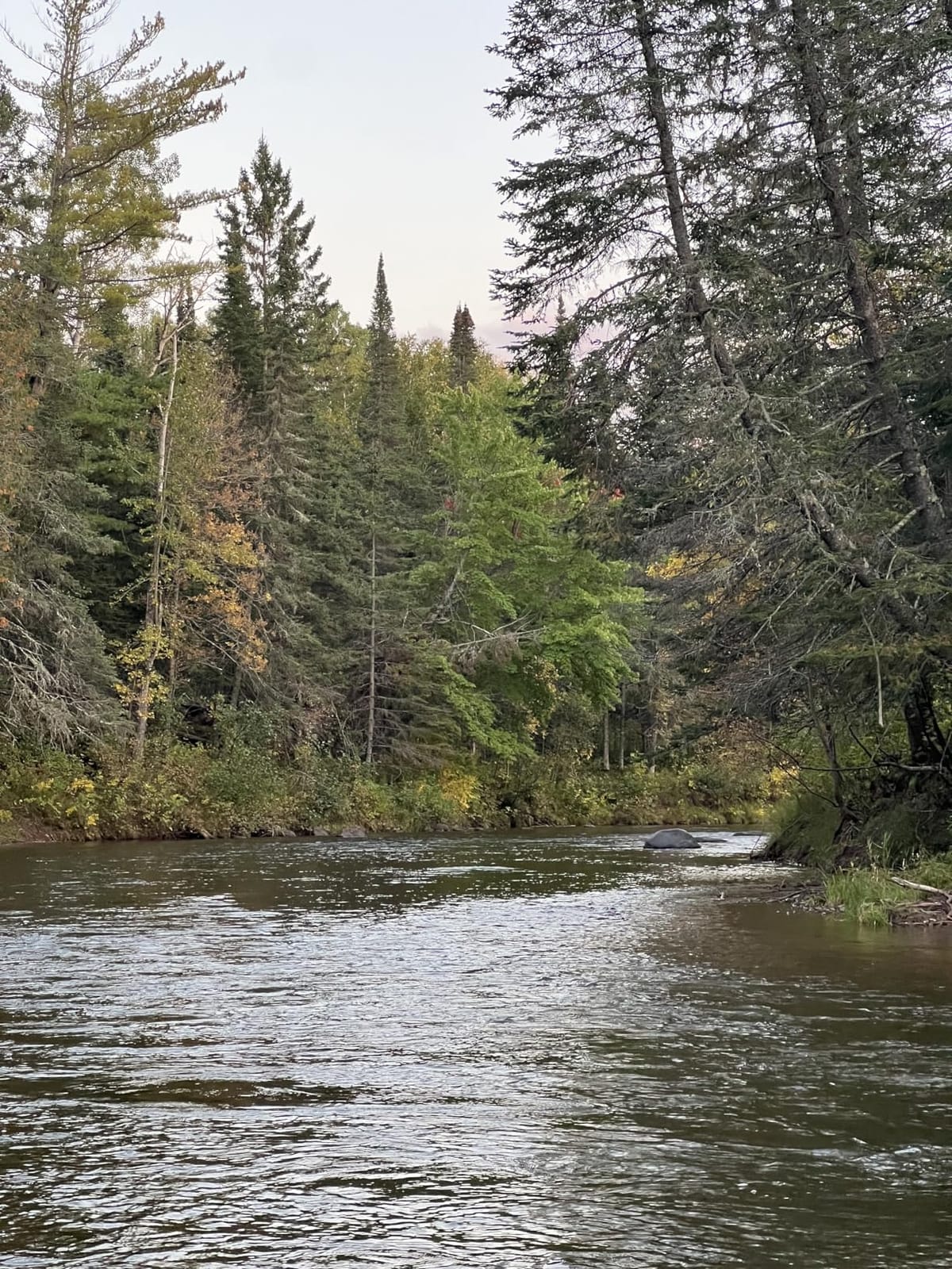 Paramount Outdoors Deep Eddy Breathable Stockingfoot Fishing Wader Regular and Stout Sizes customer photo 2
