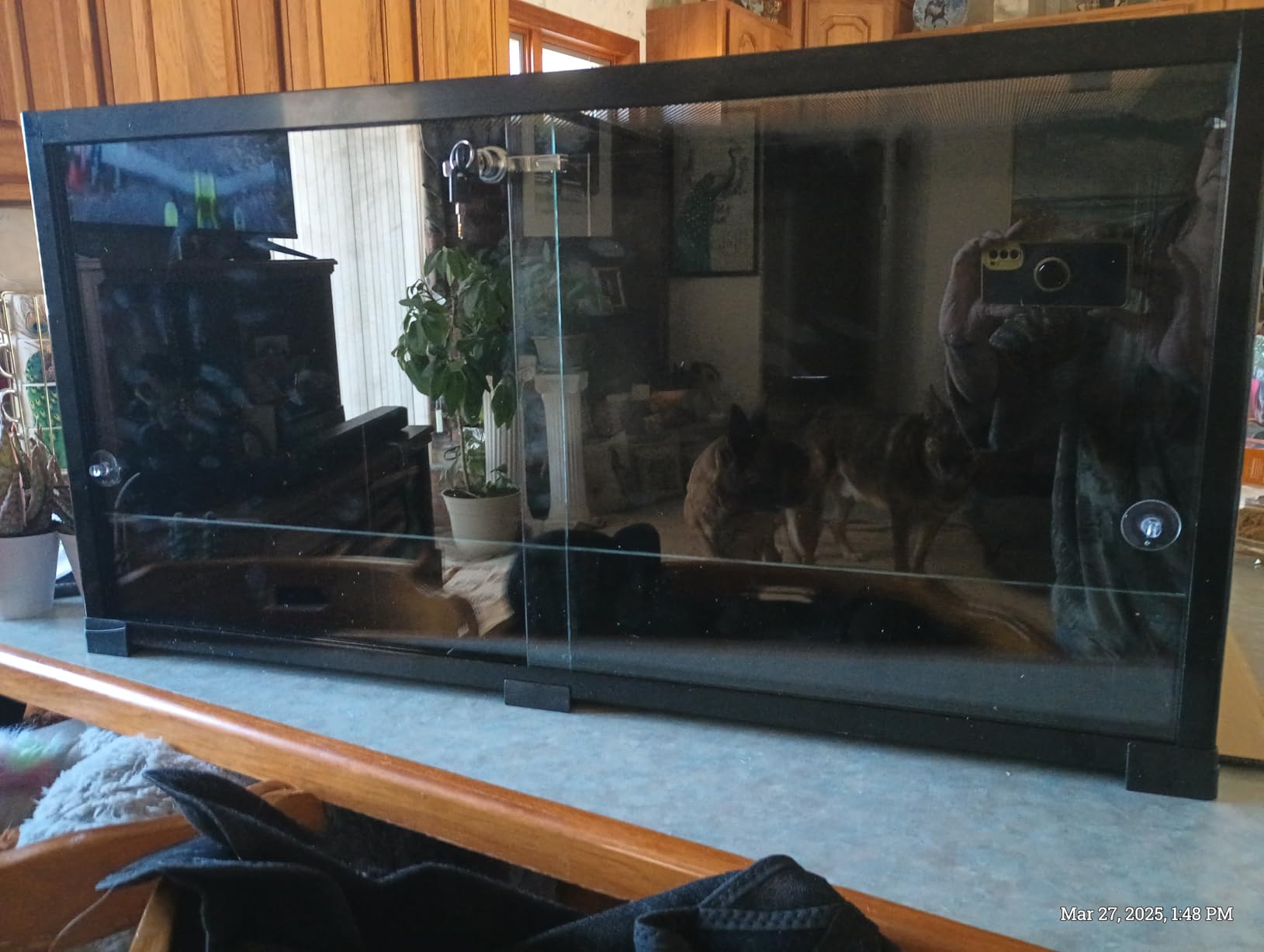 REPTIZOO Large 120 Gallon Reptile Terrarium, Reptile Tank 48