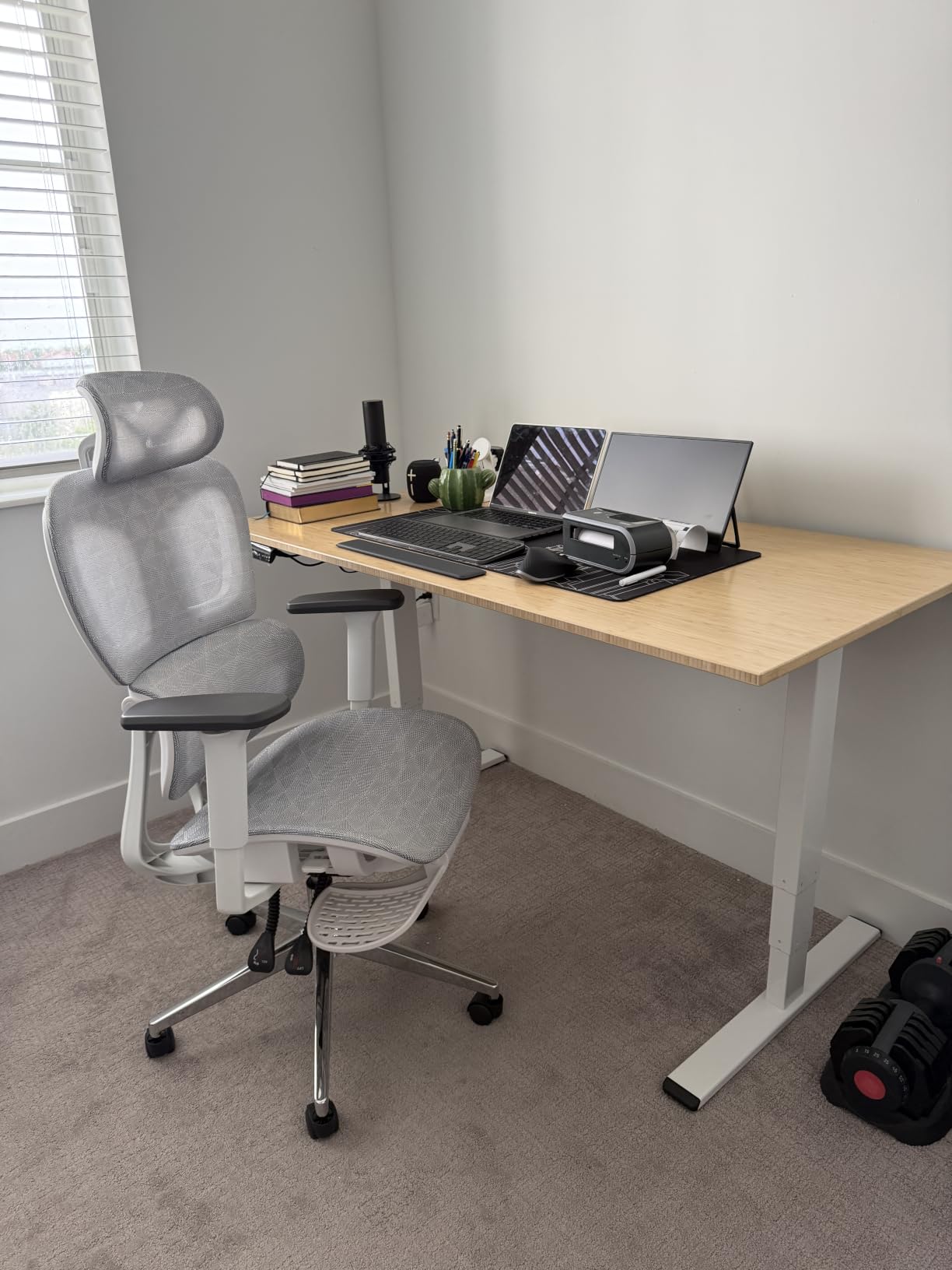 FlexiSpot E6 Bamboo 3-Stage Dual Motor 60 x 30 Electric Standing Desk Sit Stand Up Desk, Holds 220 lbs, Adjustable Height w/ Memory Presets, Solid Bamboo Desktop & Black Frame, Ships in 2 Boxes customer photo 1