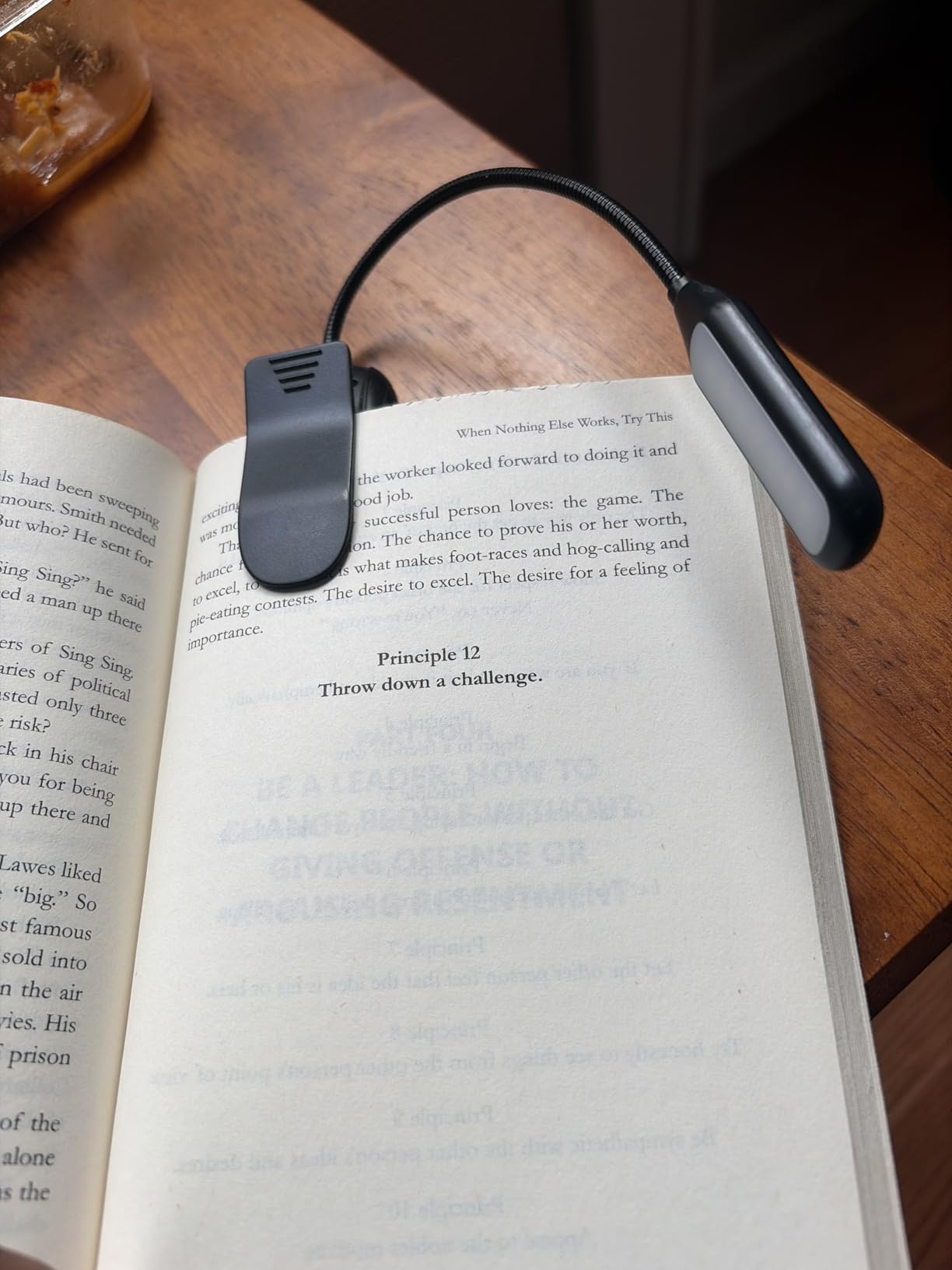 Monotremp Rechargeable Book Lights for Reading at Night, Clip-On 3 Colors customer photo 2