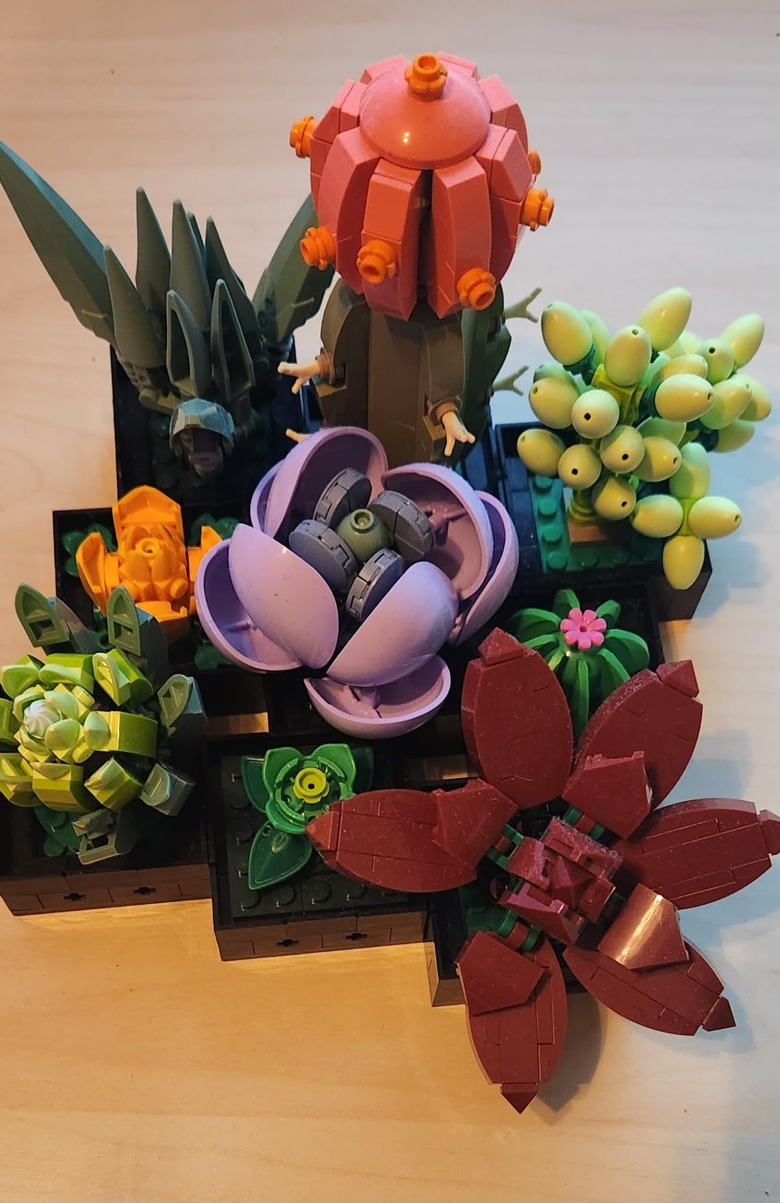 LEGO Botanicals Succulents 10309 customer photo 2