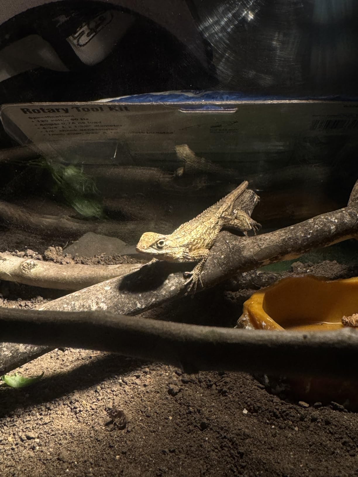 HELIME Reptile Tank 7 Piece Starter Kit with Escape Proof Locking Lid Large customer photo 1