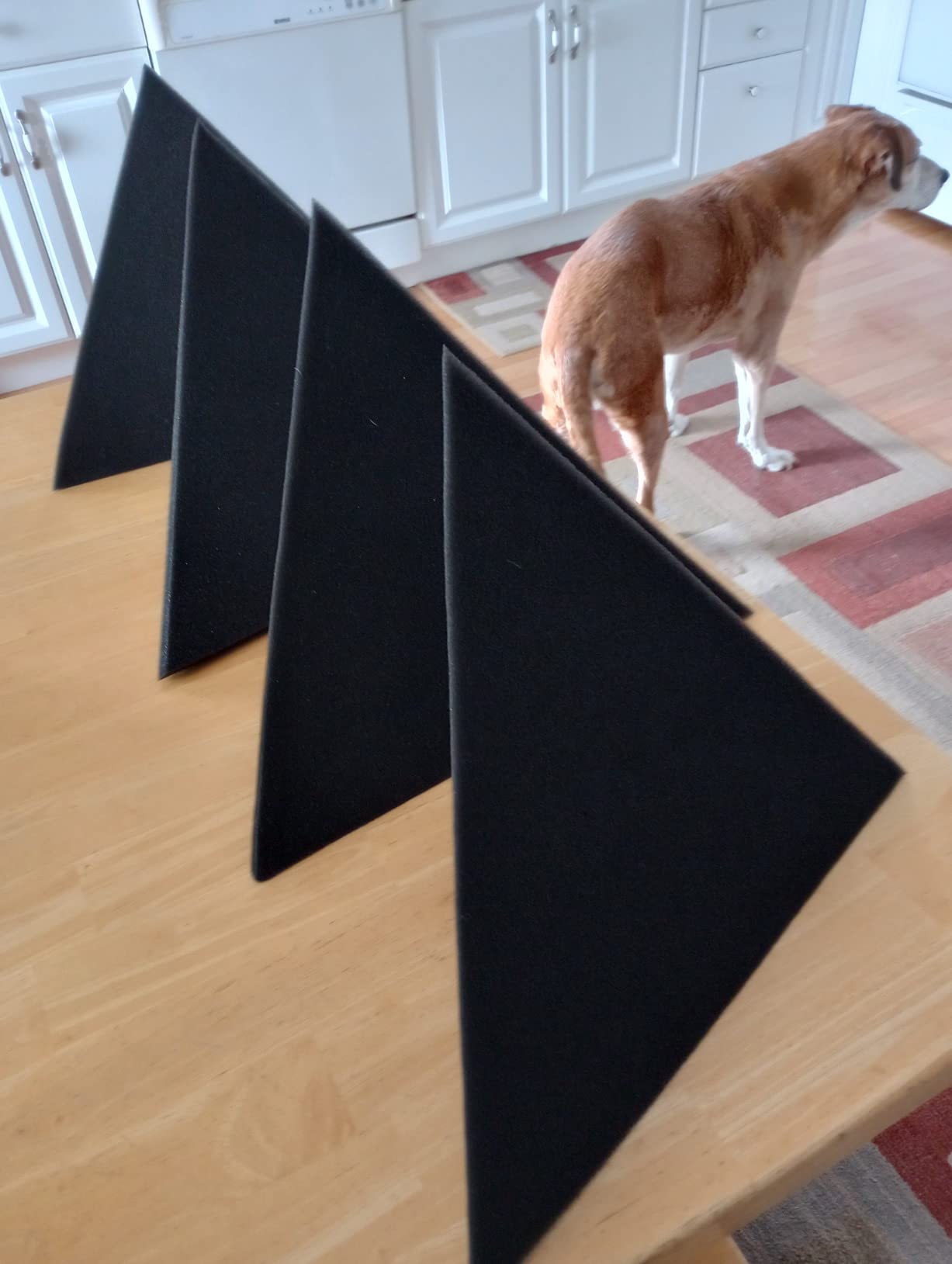 Foroomaco Triangular Pyramid Bass Traps for Ceiling Corners, 4 Pack, Black | 16.5 in face, 12 in deep sound absorbing acoustic foam for bass control in studios, podcast rooms and home theaters customer photo 1