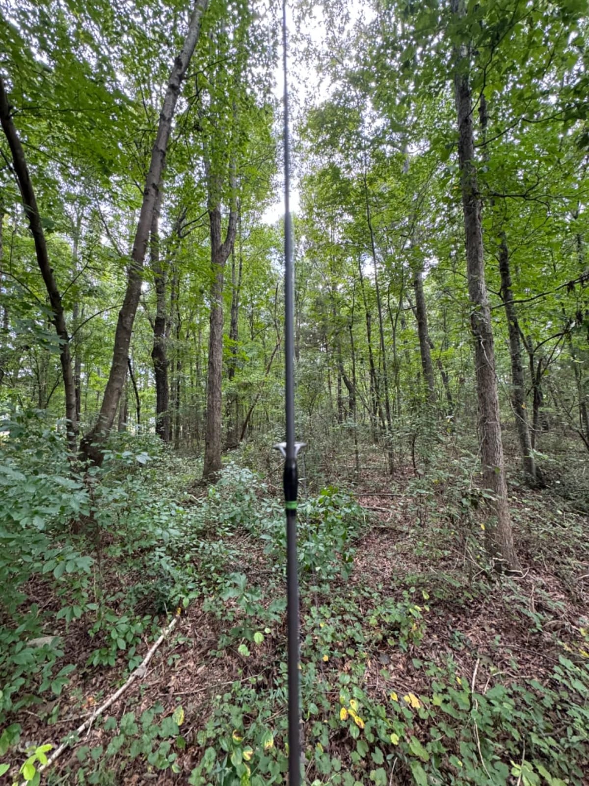 Lew's Crappie Thunder Spinning Fishing Rod, Light Power, Fast Action, Premium 2-Piece Graphite Blank, EVA Split Grip Handle customer photo 1