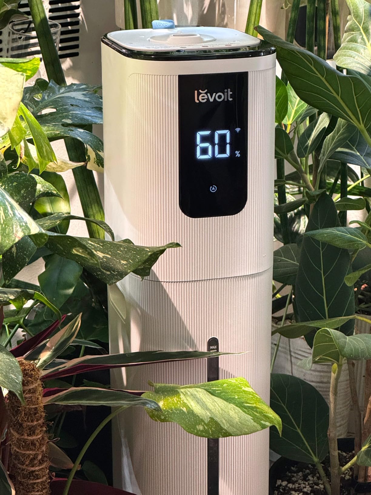 Levoit OasisMist 1000S (10L) Smart Humidifier for Home Large Room Bedroom customer photo 2