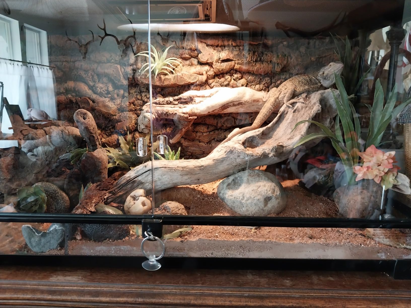 Zilla QuickBuild Reptile 65 Gallon Glass Terrarium, 48