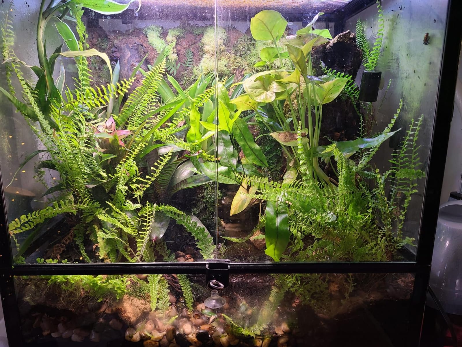 REPTIZOO 90 Gallon Reptile Terrarium 24