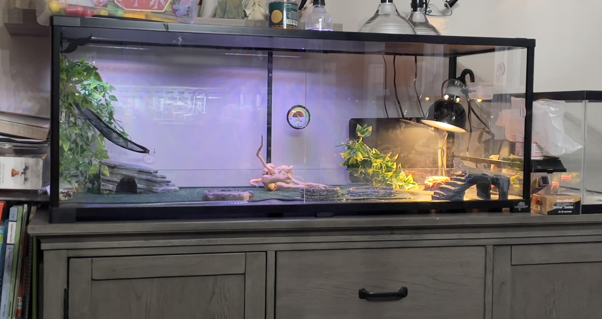 Double Stacked Reptile Tank, 24