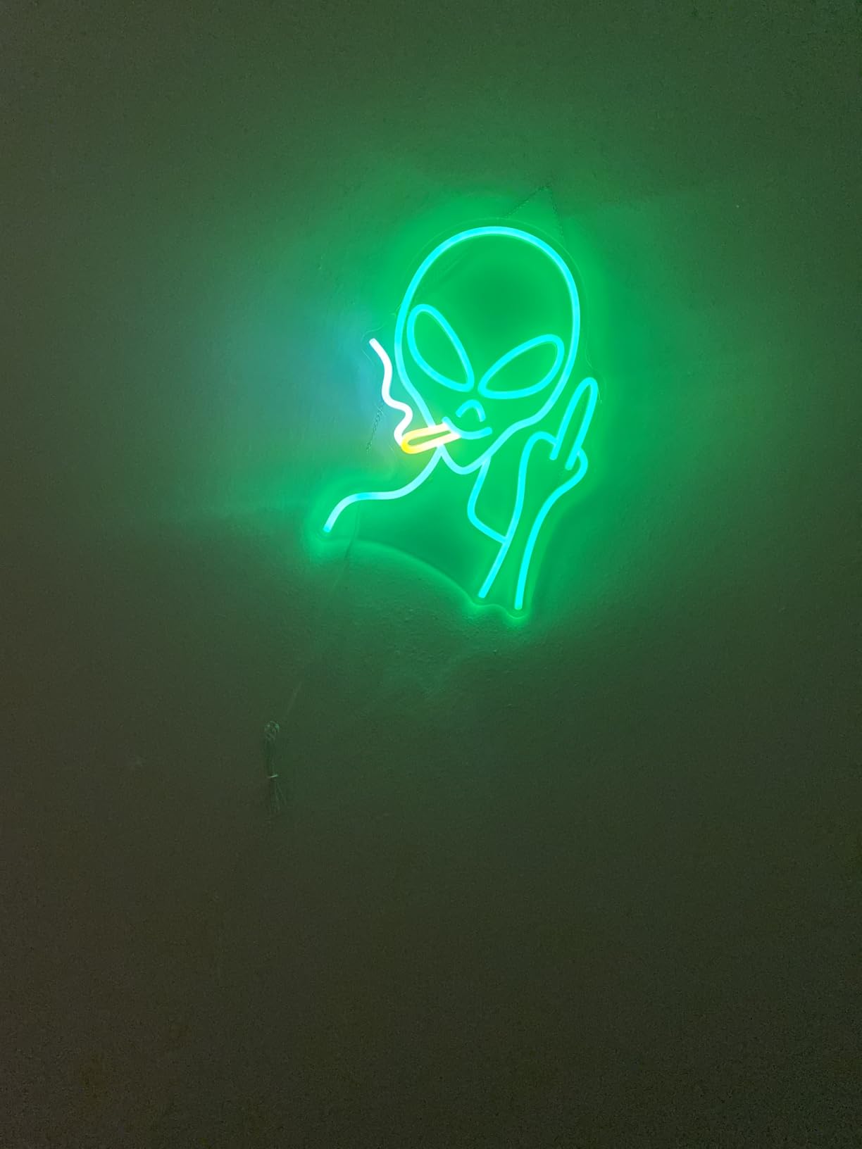 Green Alien Neon Signs, Dimmable LED Neon Signs for Wall Decor Bedroom Man Cave Game Room Home Bar Party Decor, LED Alien Neon Light for Kids Birthday Gift (Green Alien) customer photo 2